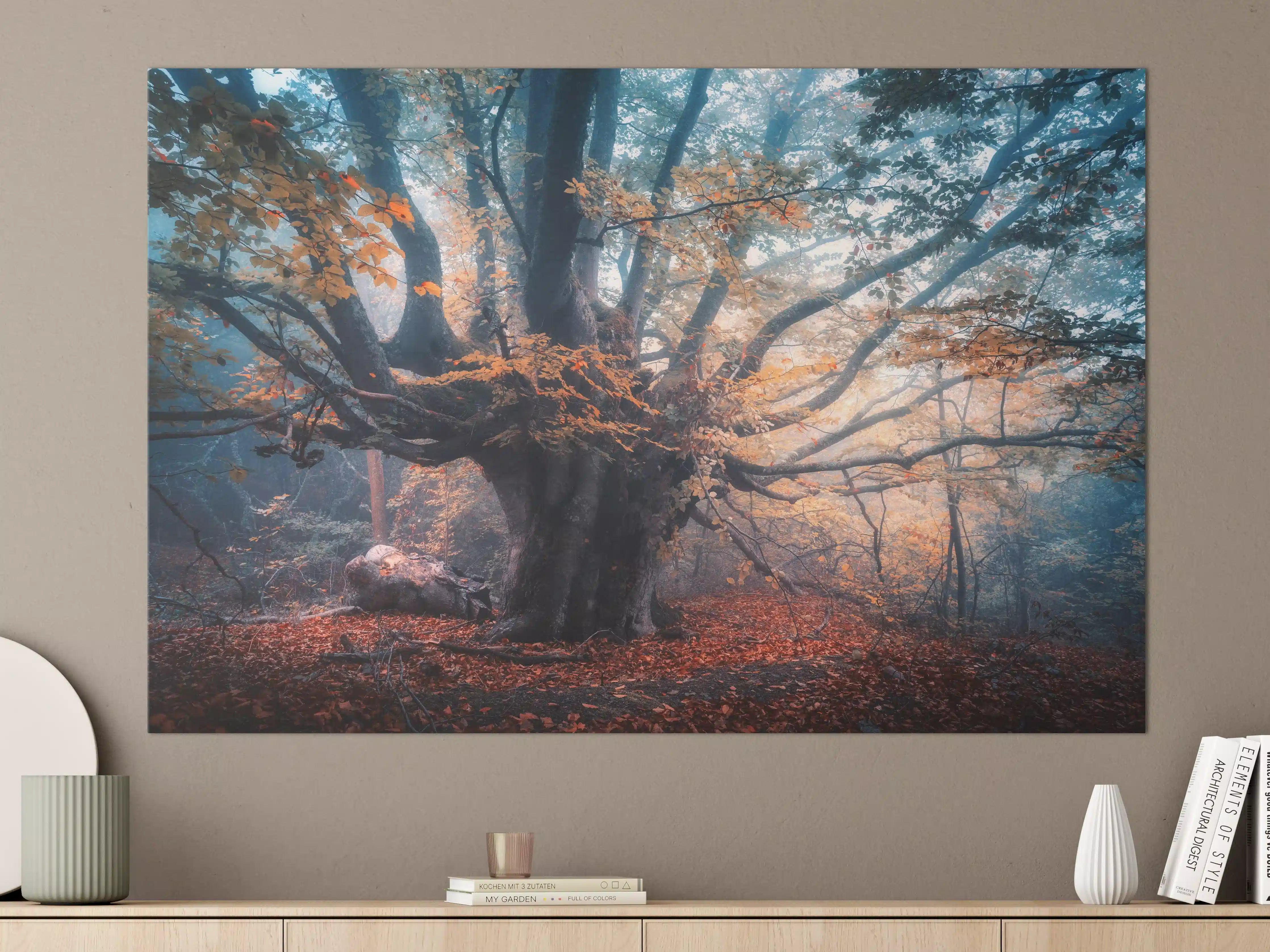 Große Wandbilder - Mystischer Baum im Herbstwald
