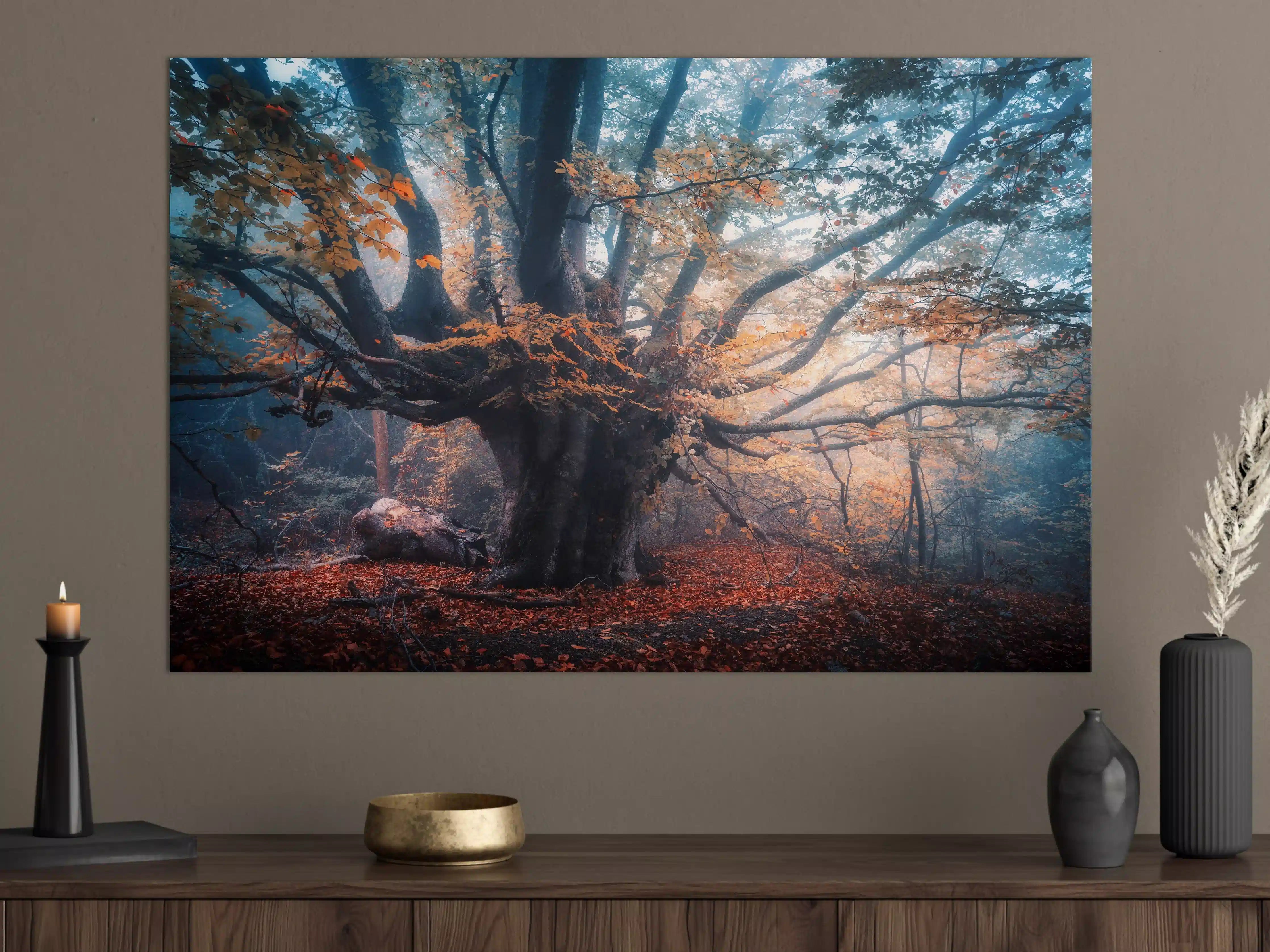 Große Wandbilder - Mystischer Baum im Herbstwald