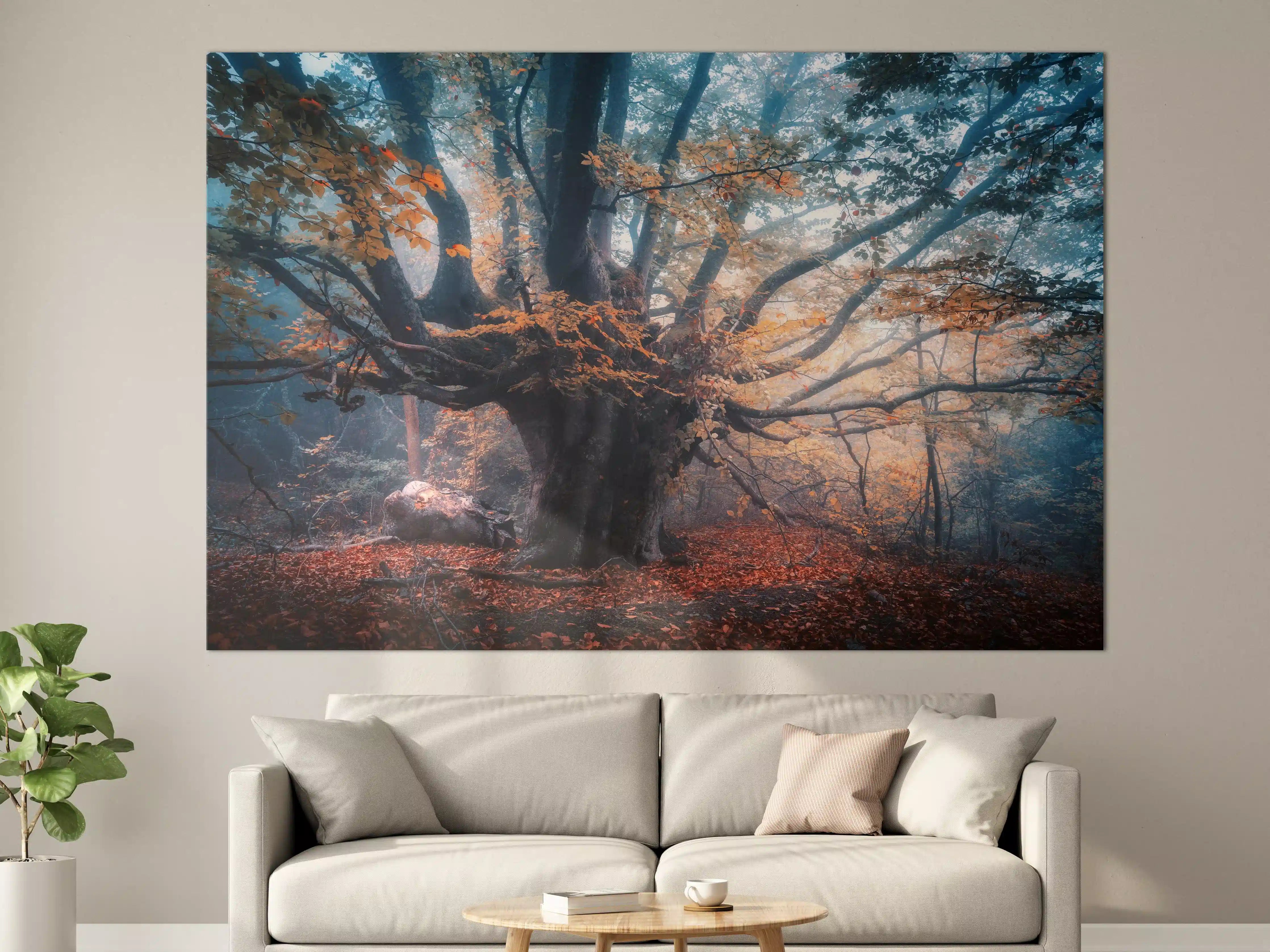 Große Wandbilder - Mystischer Baum im Herbstwald