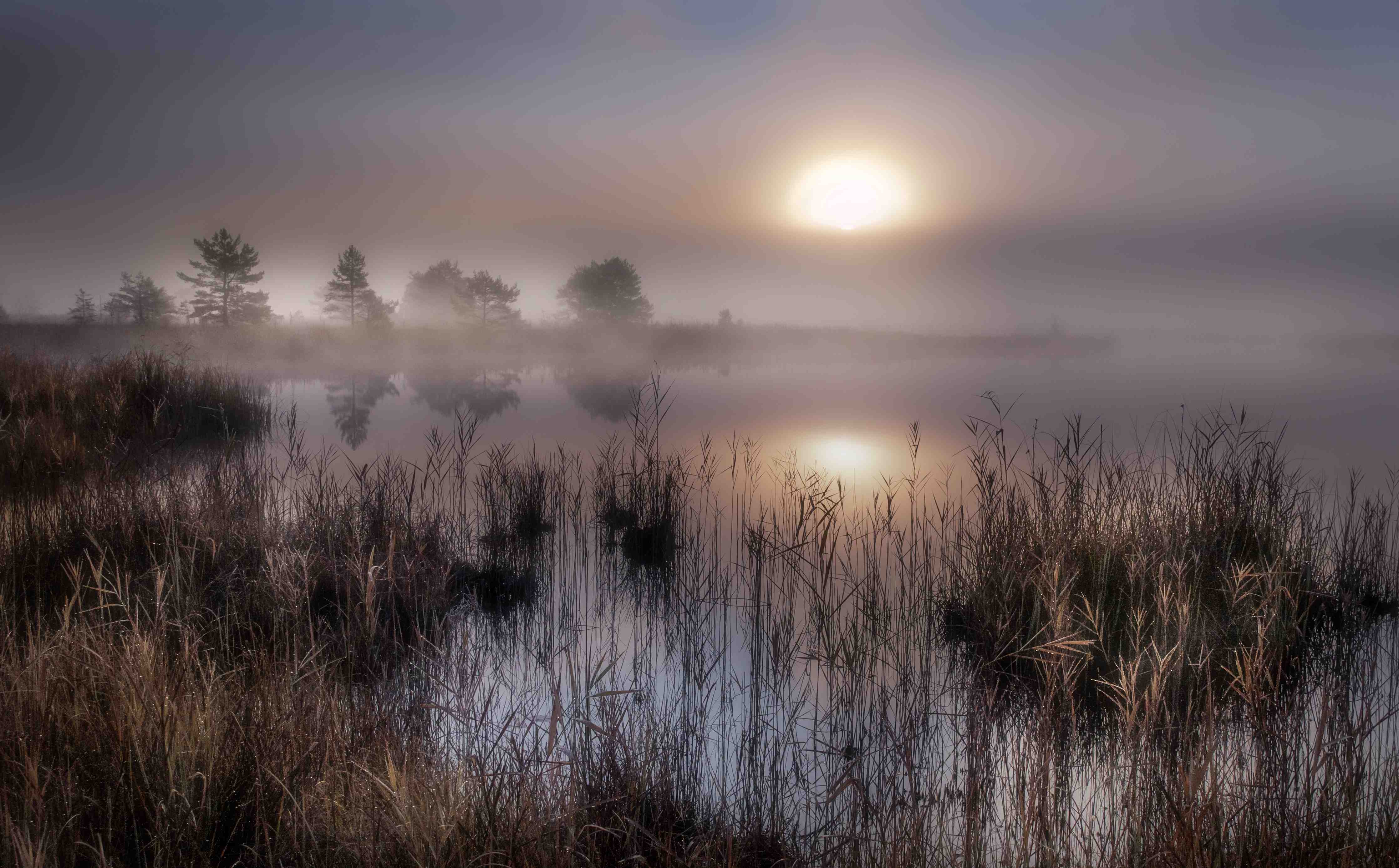 Große Wandbilder-Mystischer Nebel am Flussufer