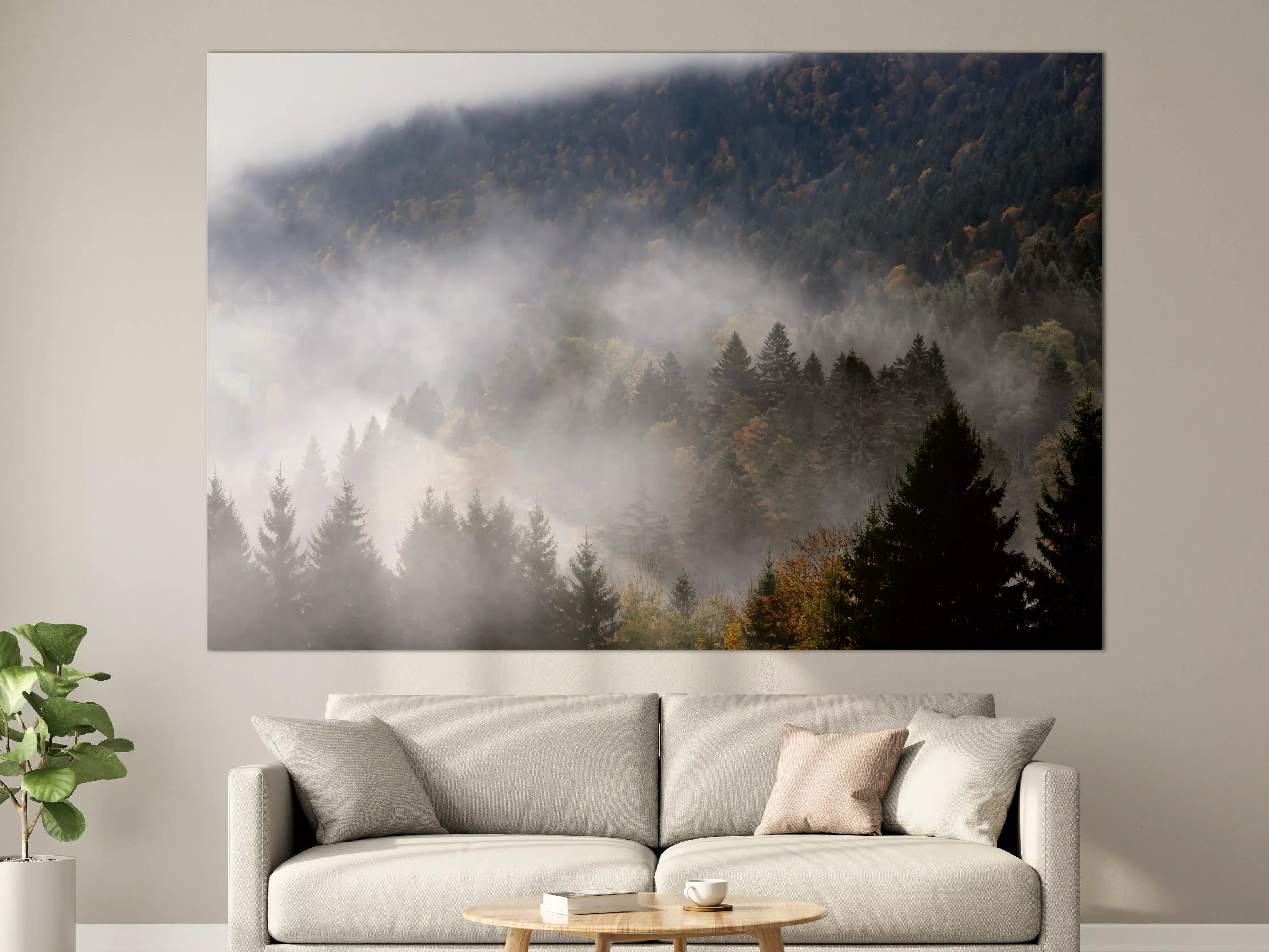 Große Wandbilder - Mystischer Nebel im Wald