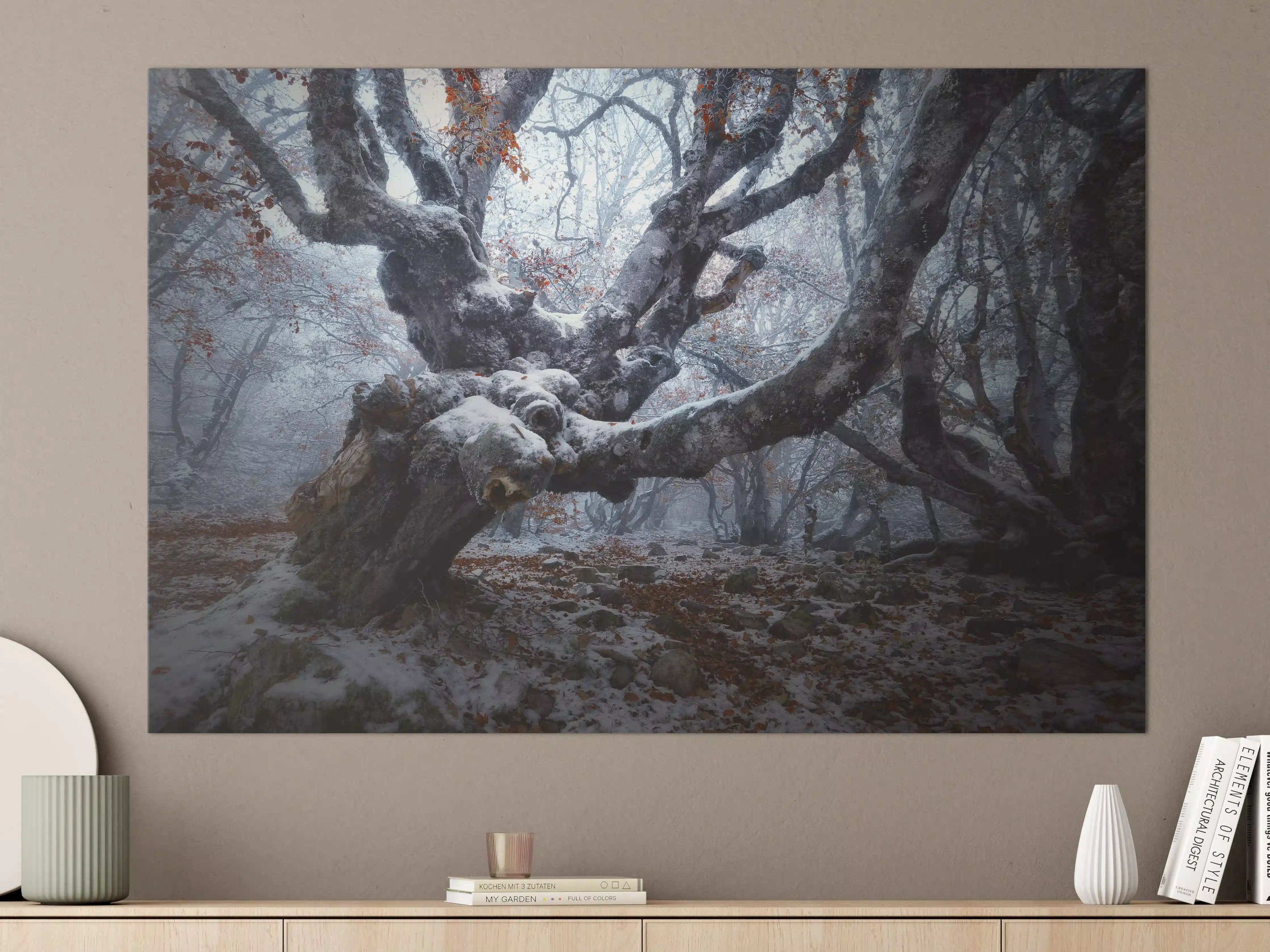 Große Wandbilder - Mystischer Nebelwald mit verwurzeltem Baum
