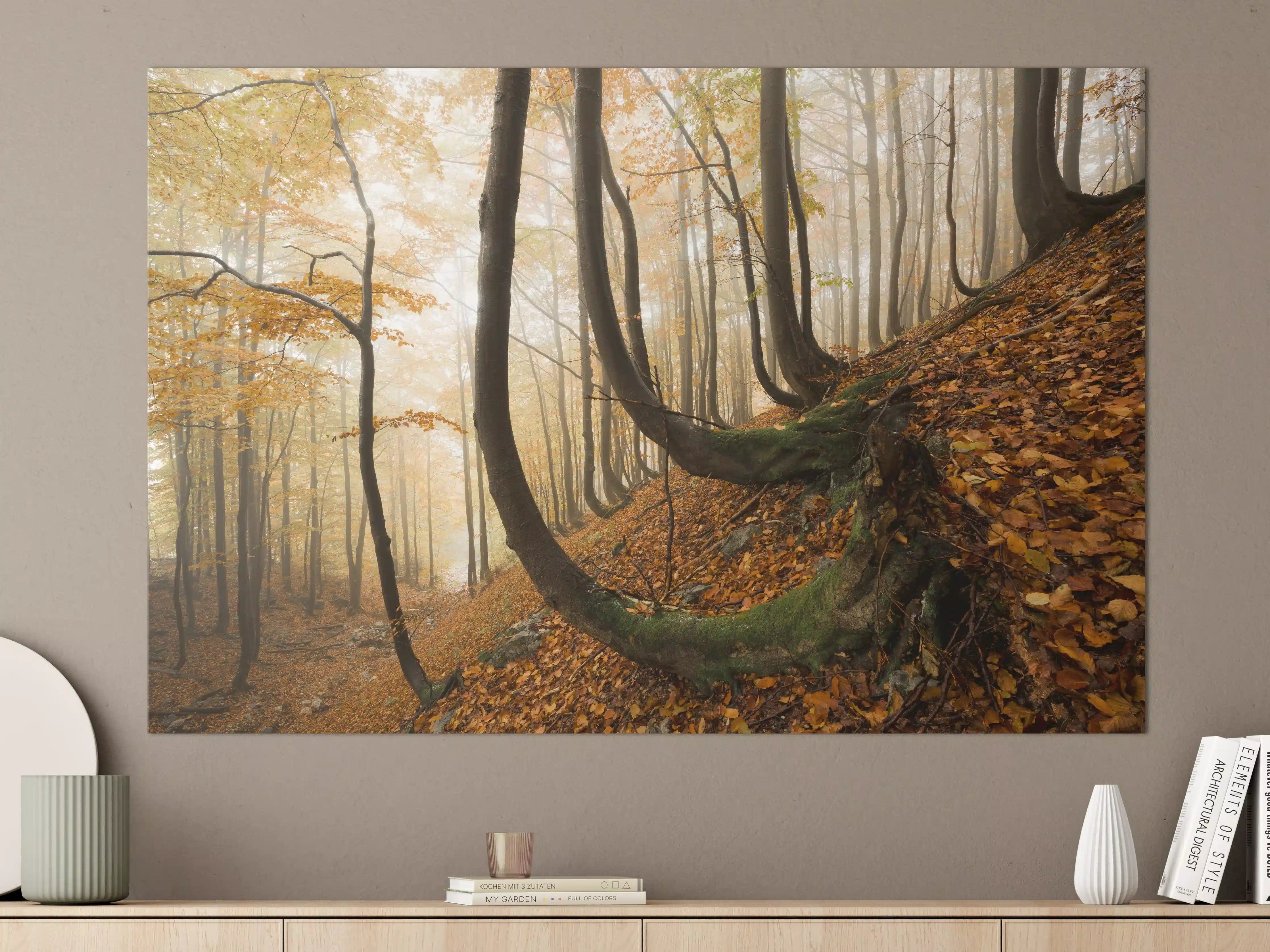 Große Wandbilder - Mystischer Wald im Herbst
