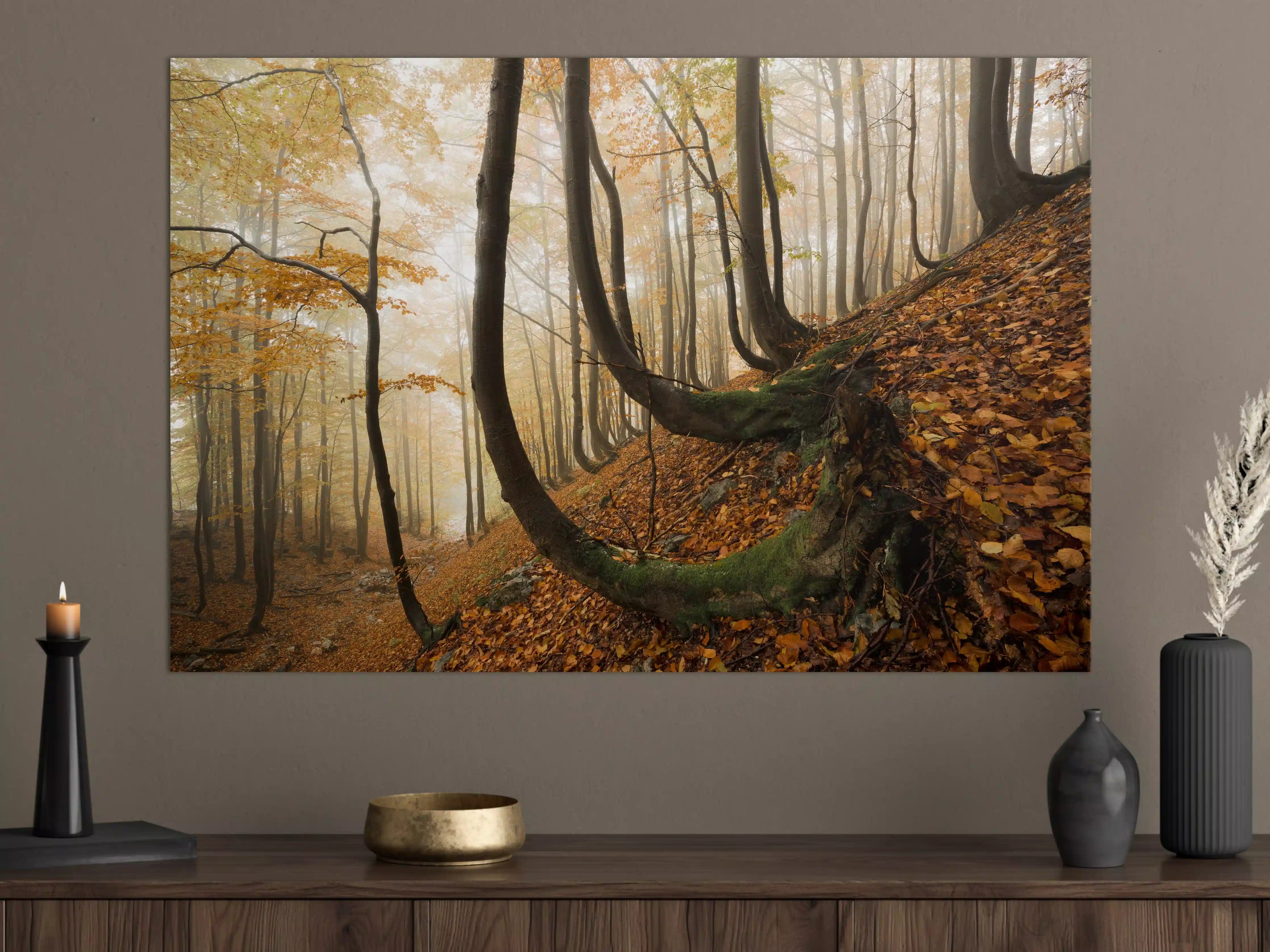 Große Wandbilder - Mystischer Wald im Herbst