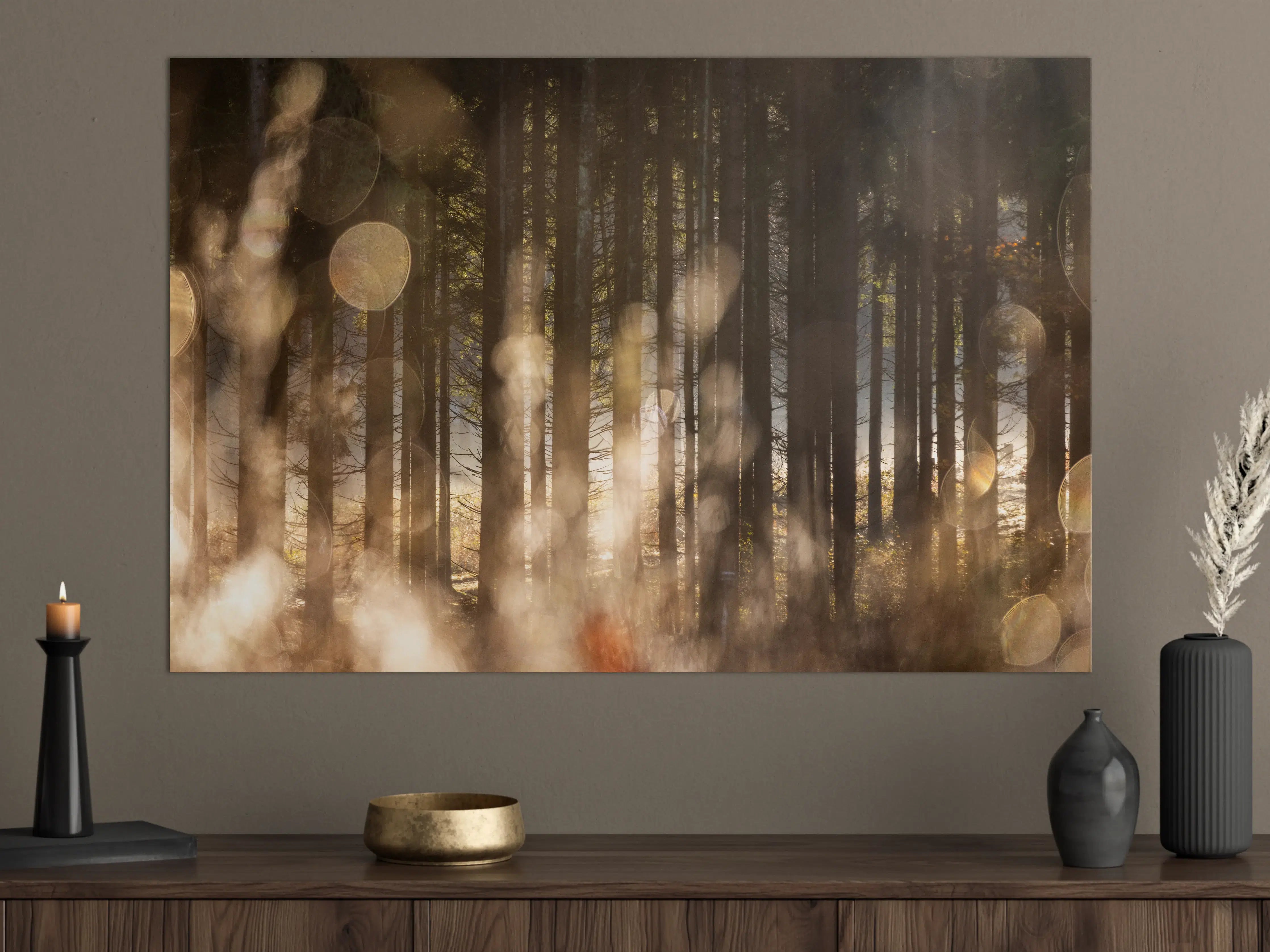Große Wandbilder - Mystischer Waldboden mit Sonnenlicht-Effekten