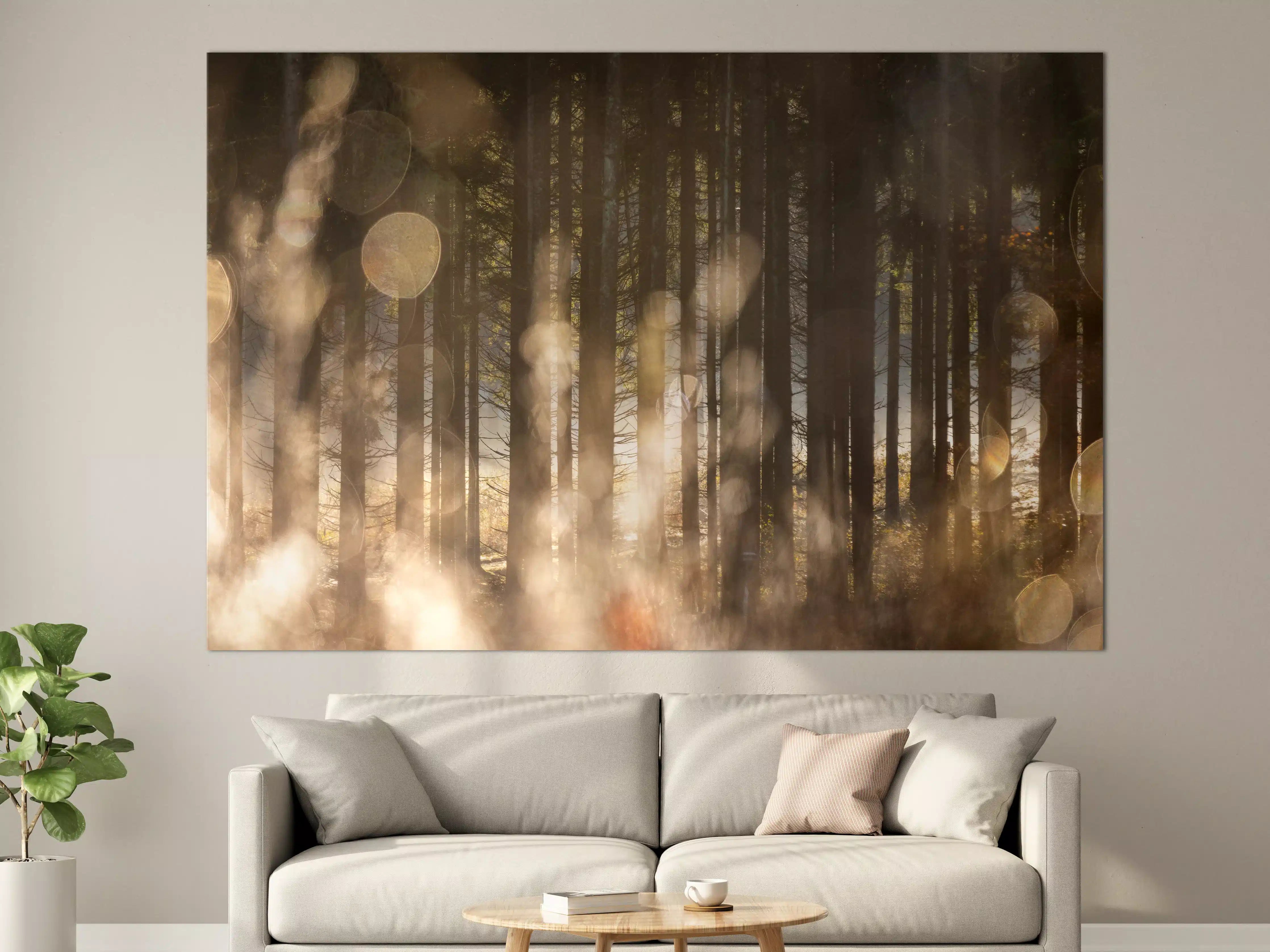 Große Wandbilder - Mystischer Waldboden mit Sonnenlicht-Effekten