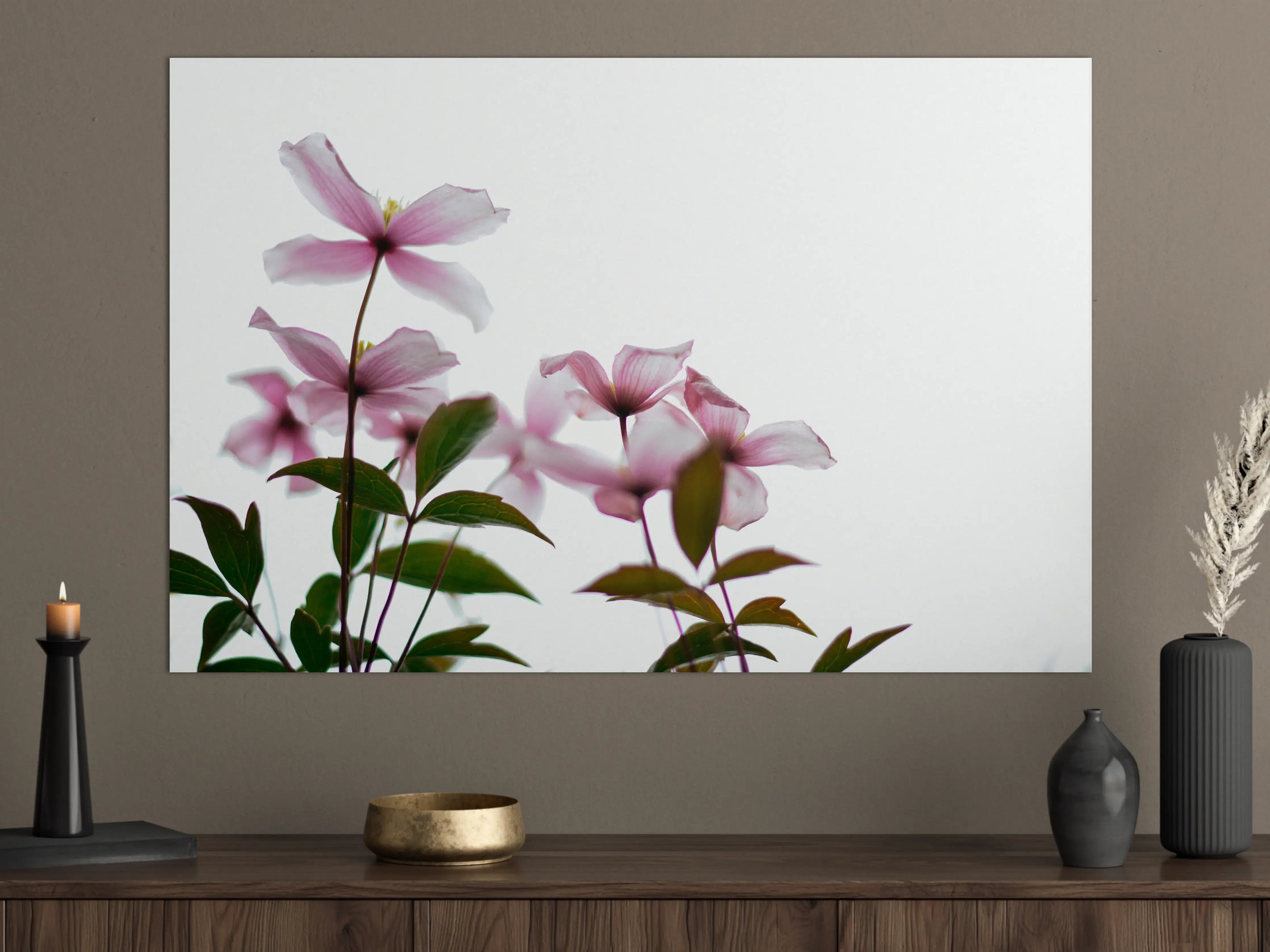 Große Wandbilder - Nahaufnahme - Clematis Blüten