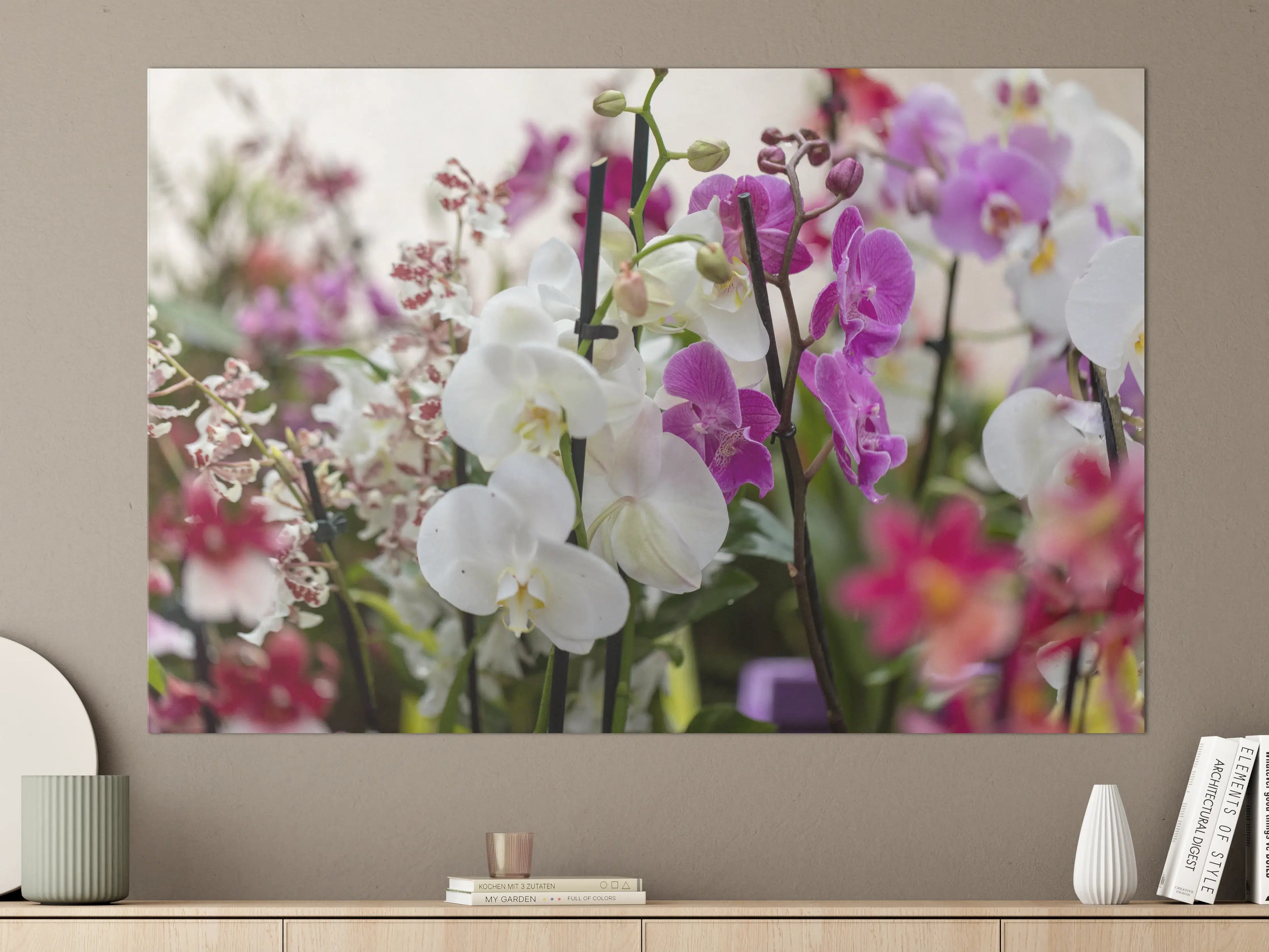 Große Wandbilder - Nahaufnahme von bunten Orchideen