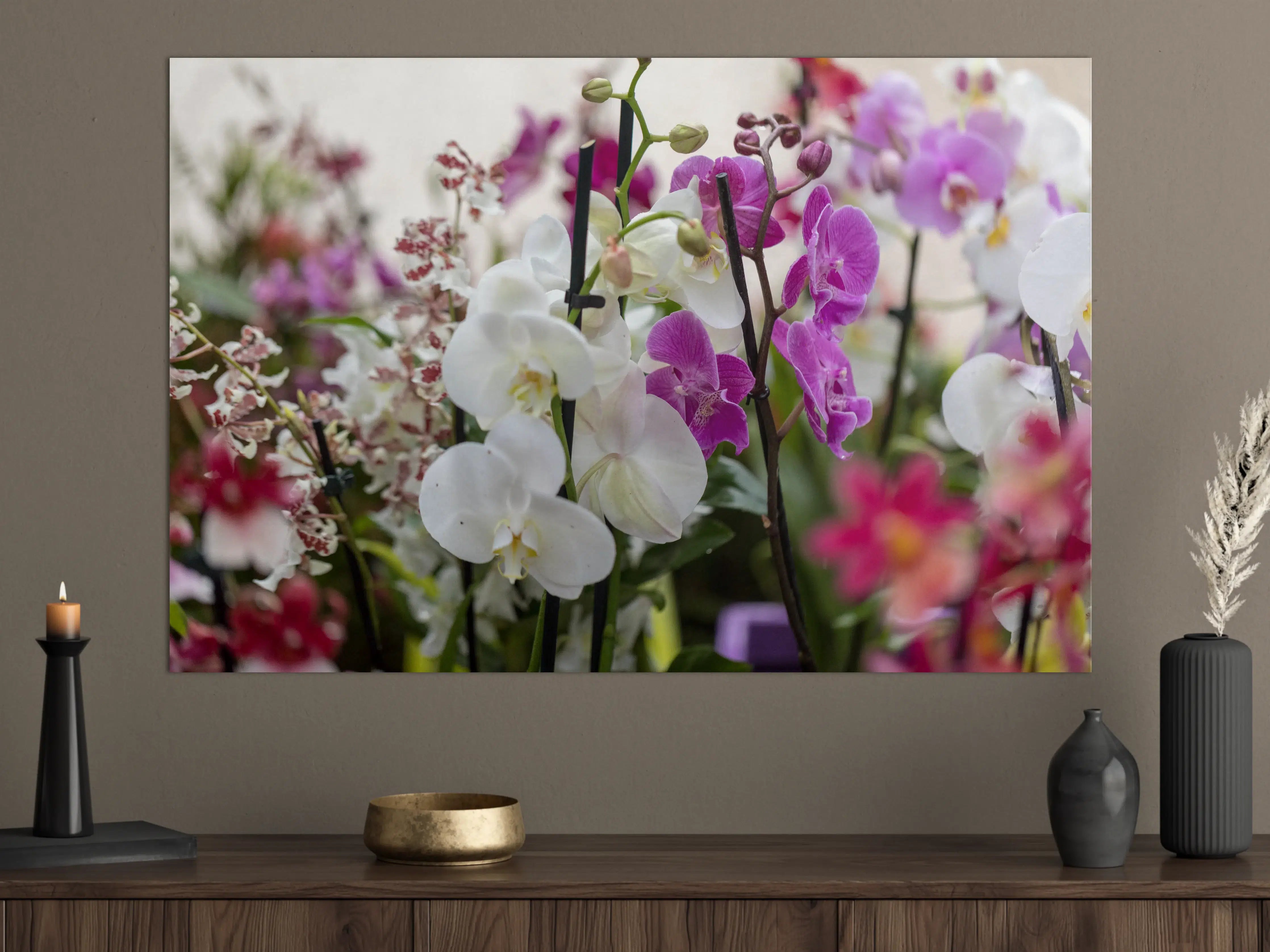 Große Wandbilder - Nahaufnahme von bunten Orchideen