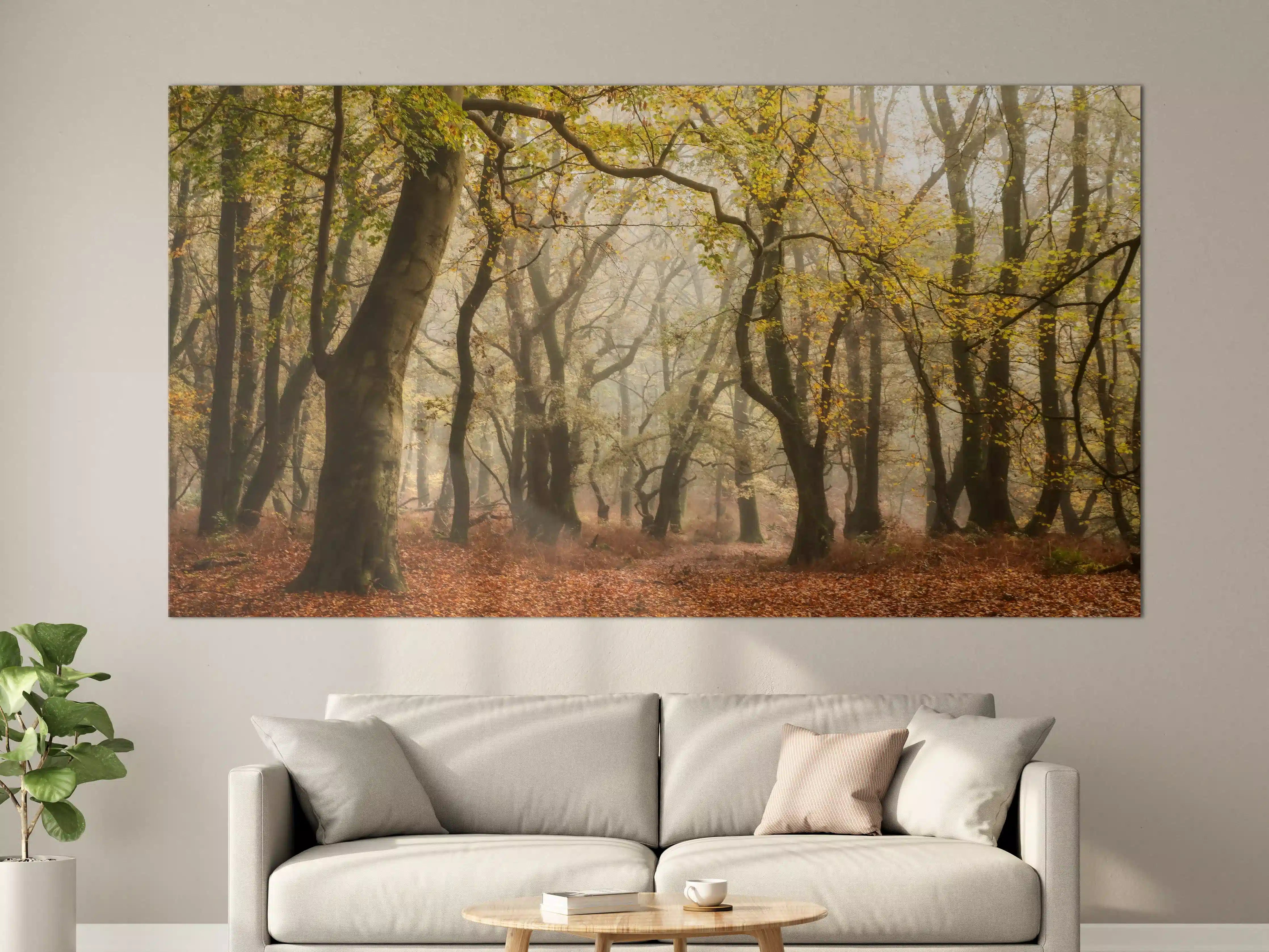 Große Wandbilder - Nebelgrauer Wald im Herbst