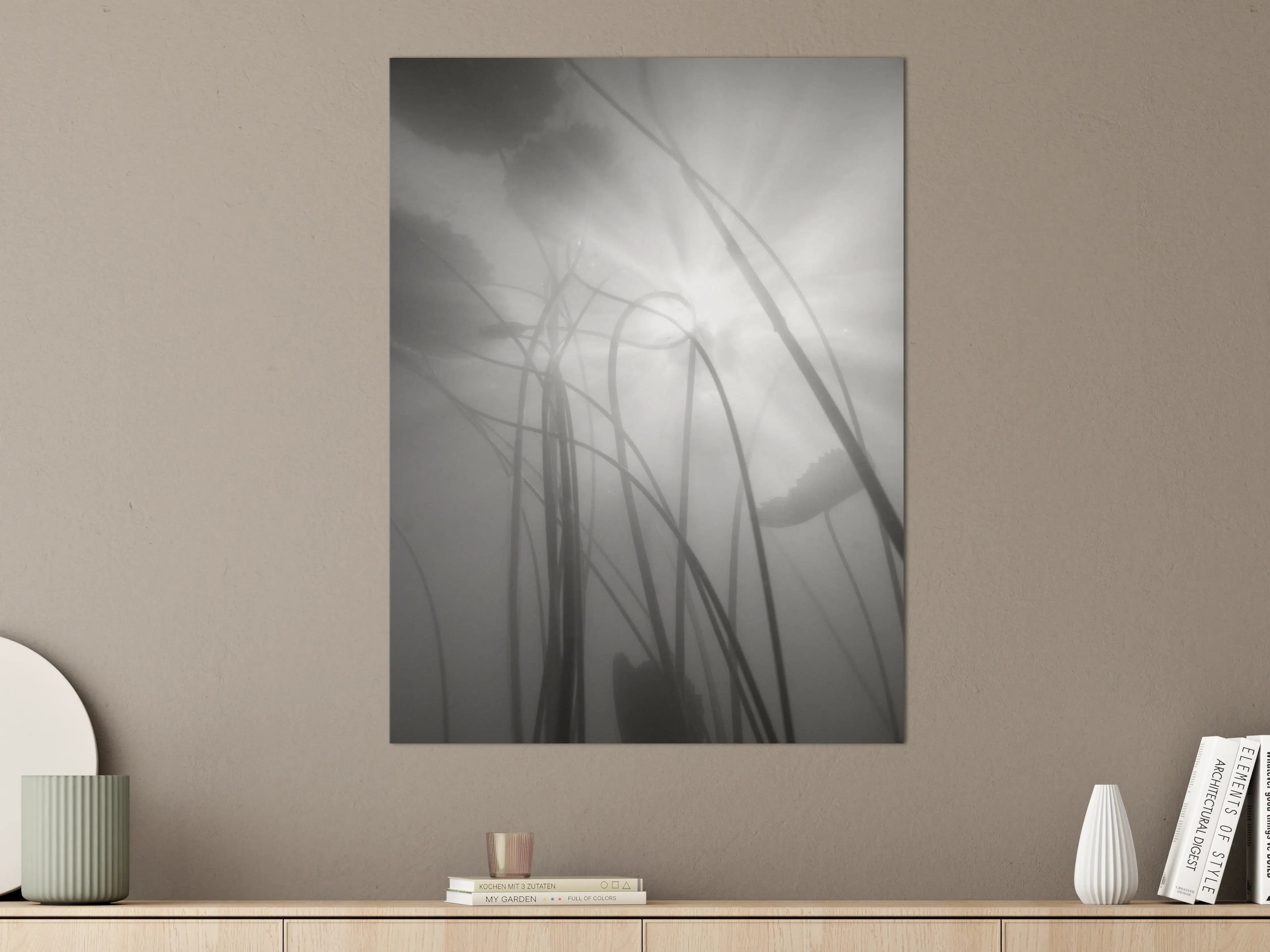 Große Wandbilder - Nebelhafte Wasserlilien Monochrom