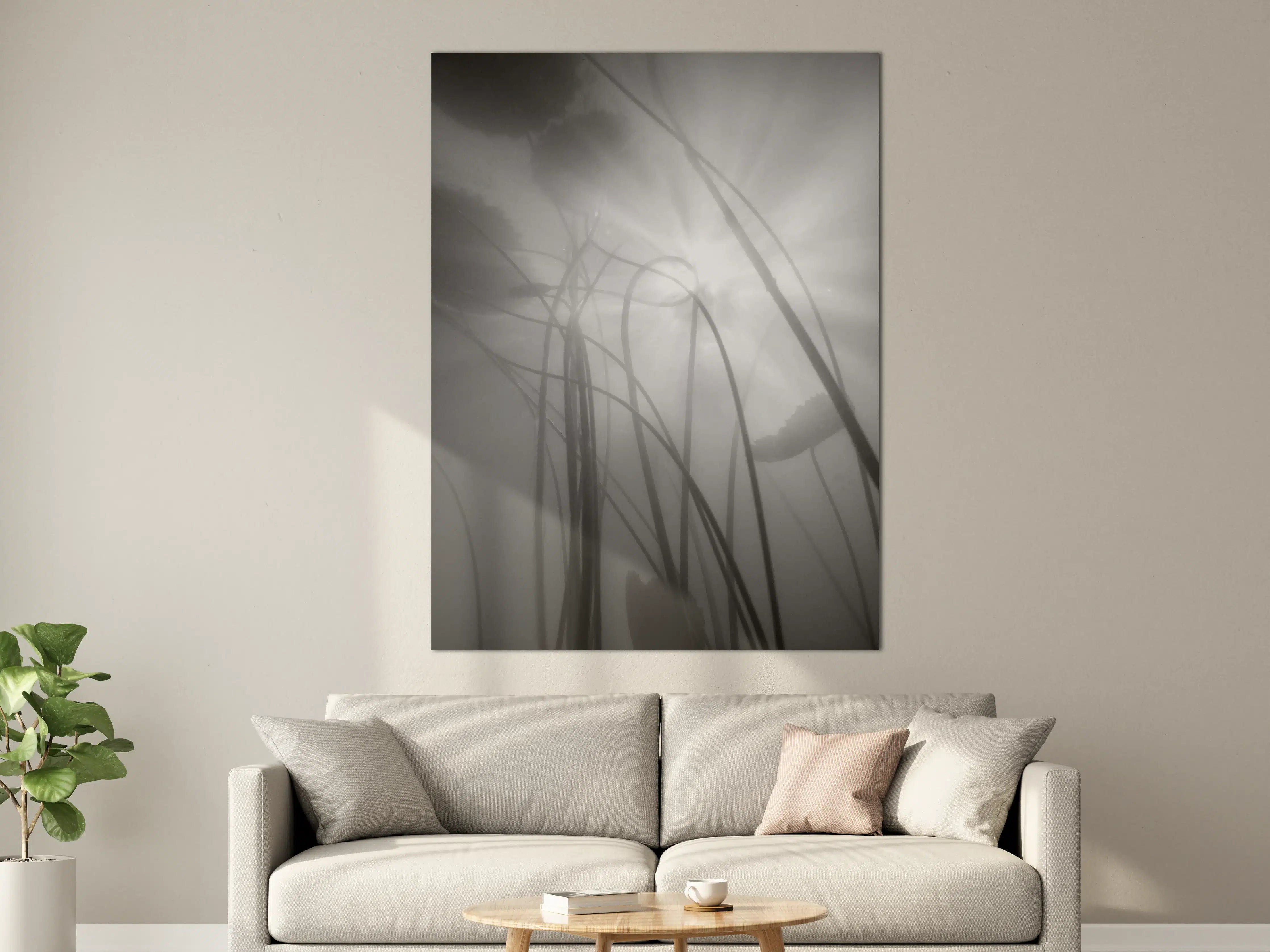 Große Wandbilder - Nebelhafte Wasserlilien Monochrom