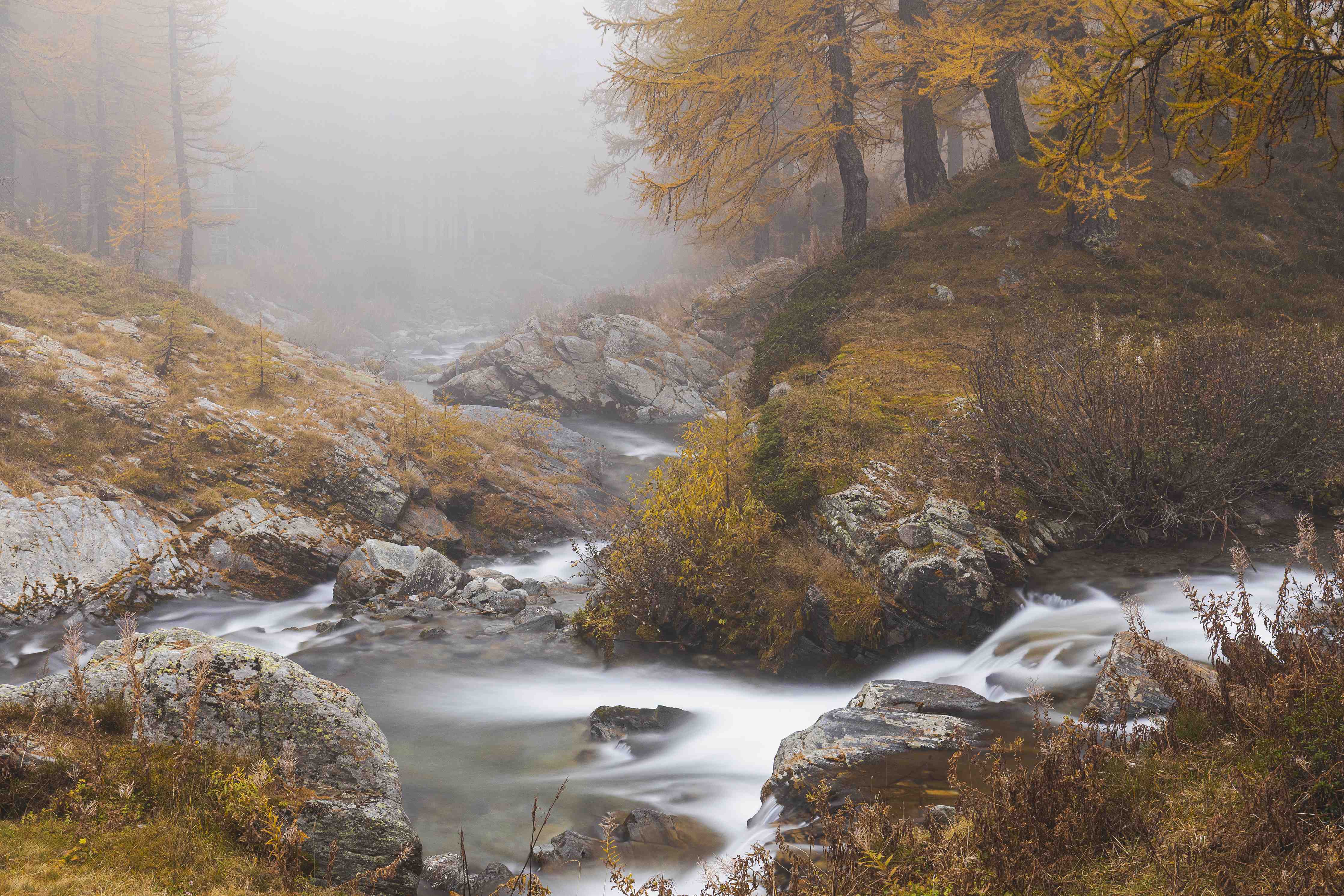 Große Wandbilder-Nebelige Flusslandschaft mit Herbstfarben