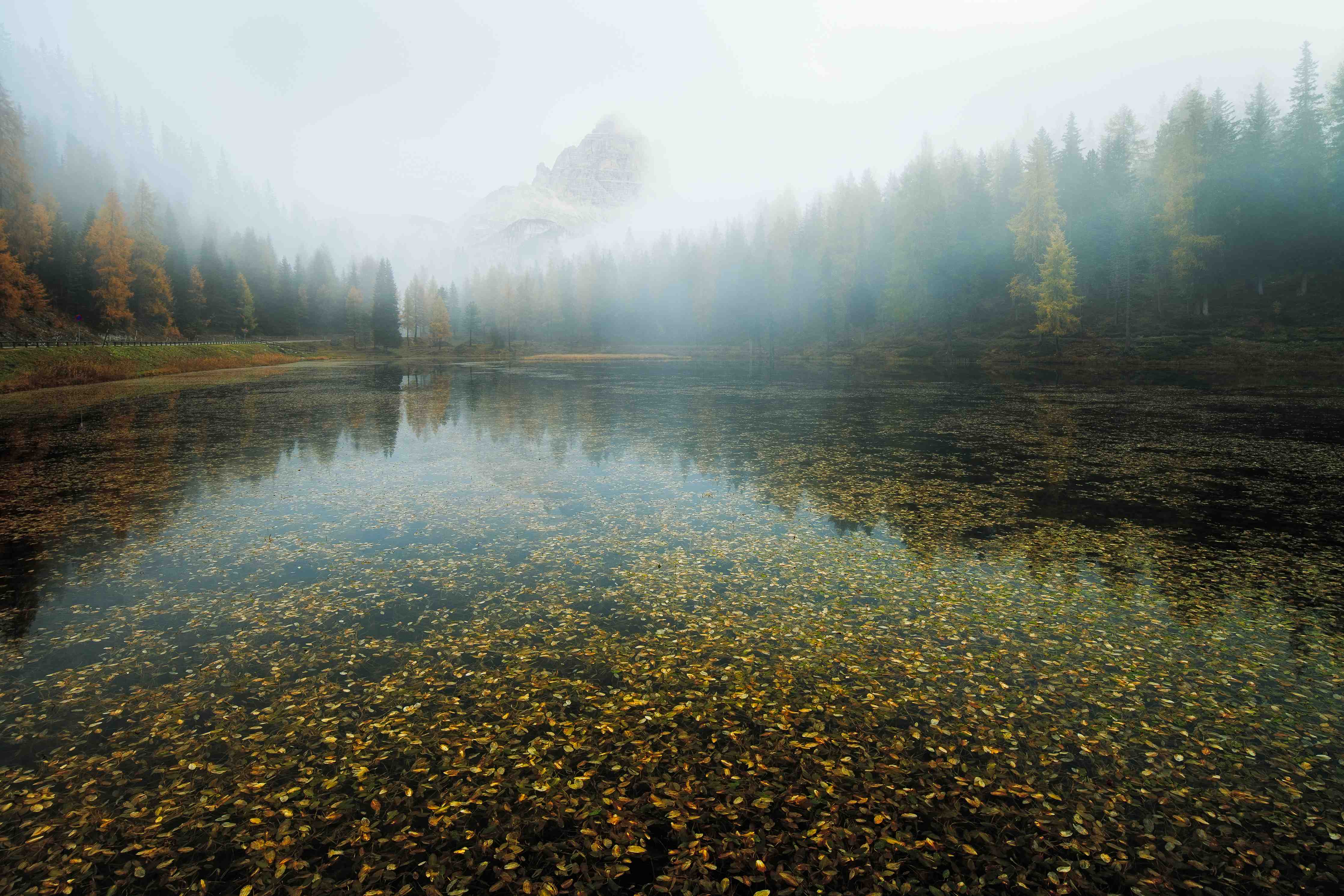Große Wandbilder-Nebeliger Bergsee inmitten des Waldes