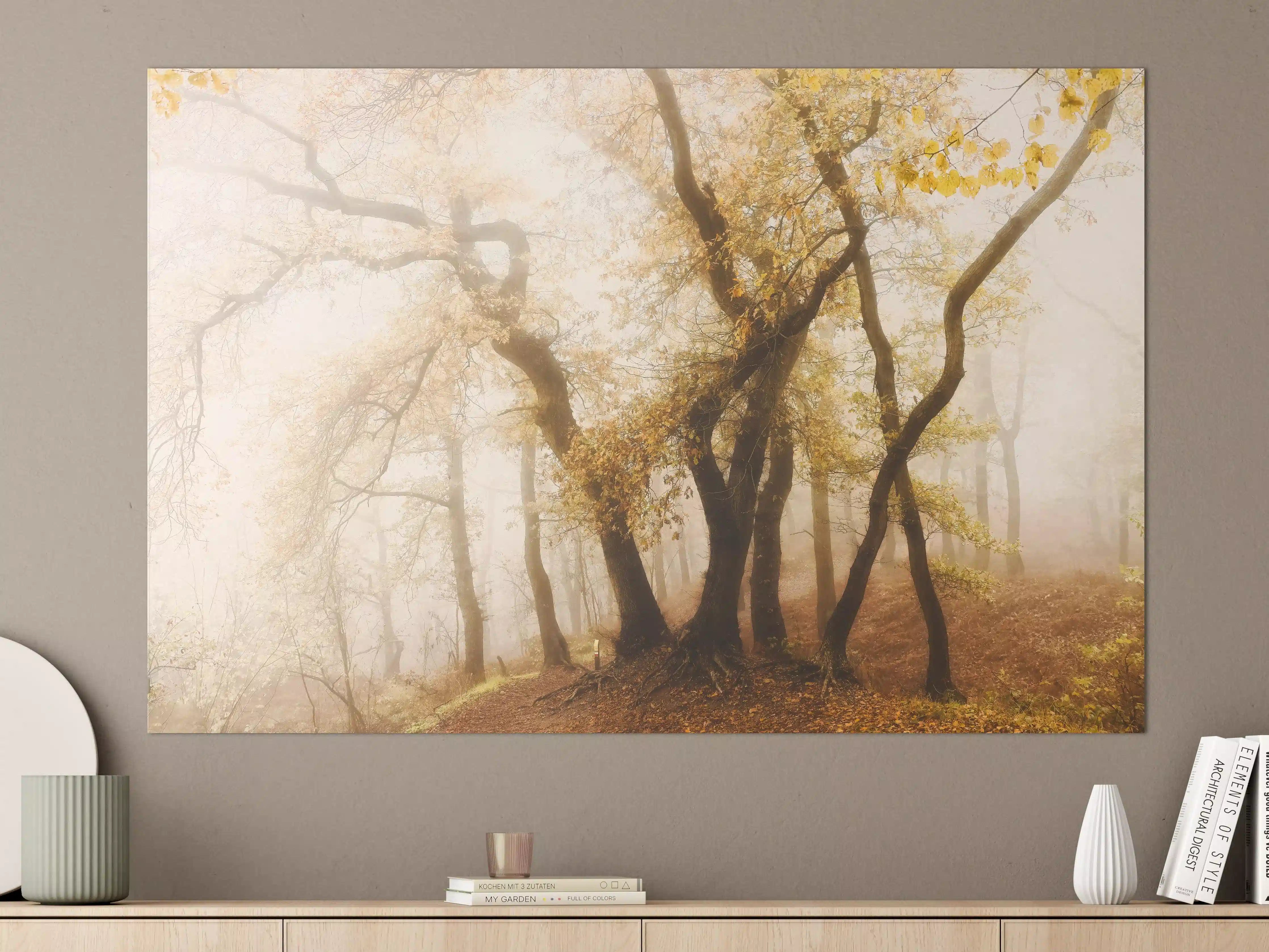 Große Wandbilder - Nebeliger Wald im Herbst