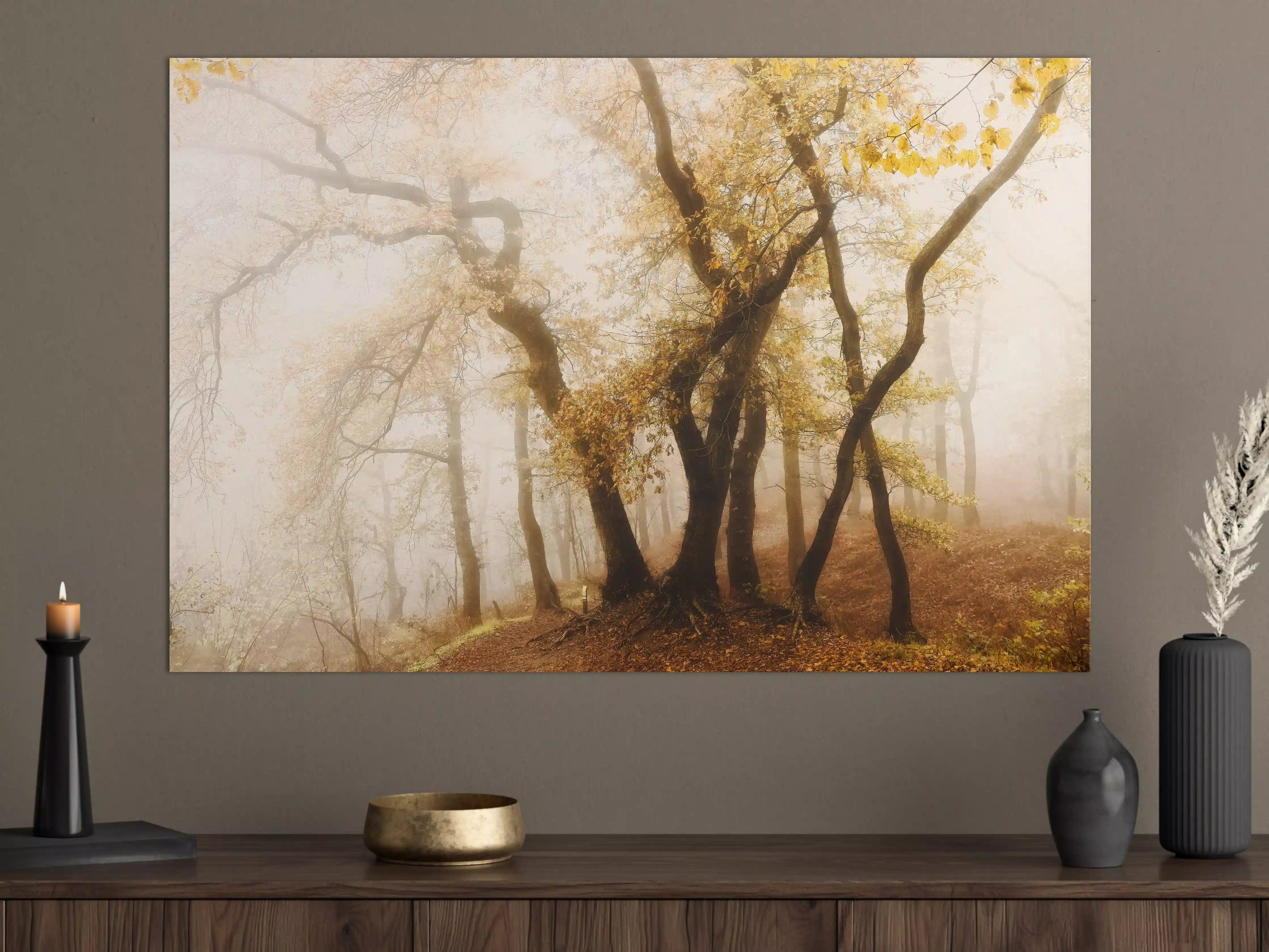 Große Wandbilder - Nebeliger Wald im Herbst