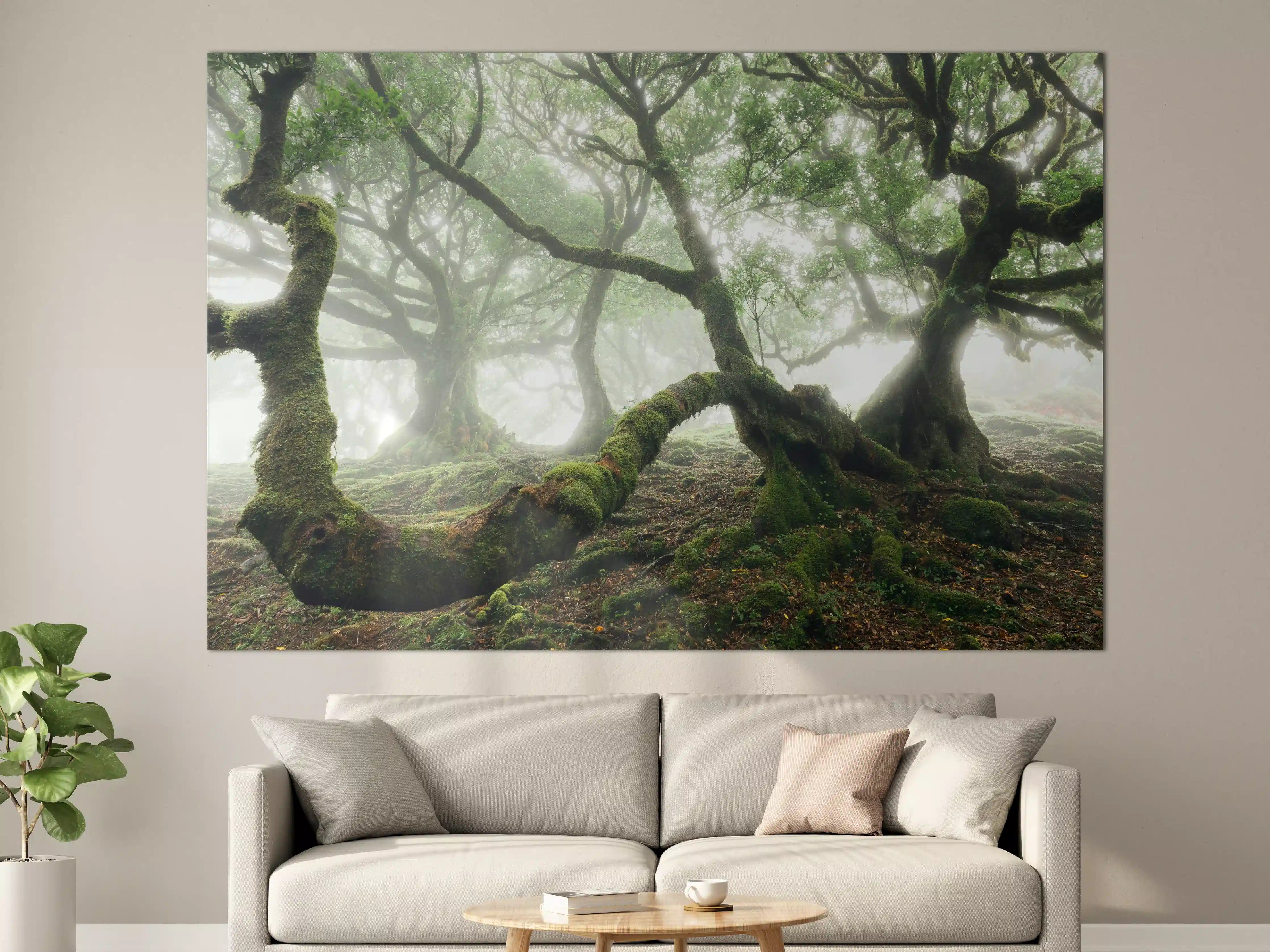 Große Wandbilder - Nebeliger, mystischer Wald