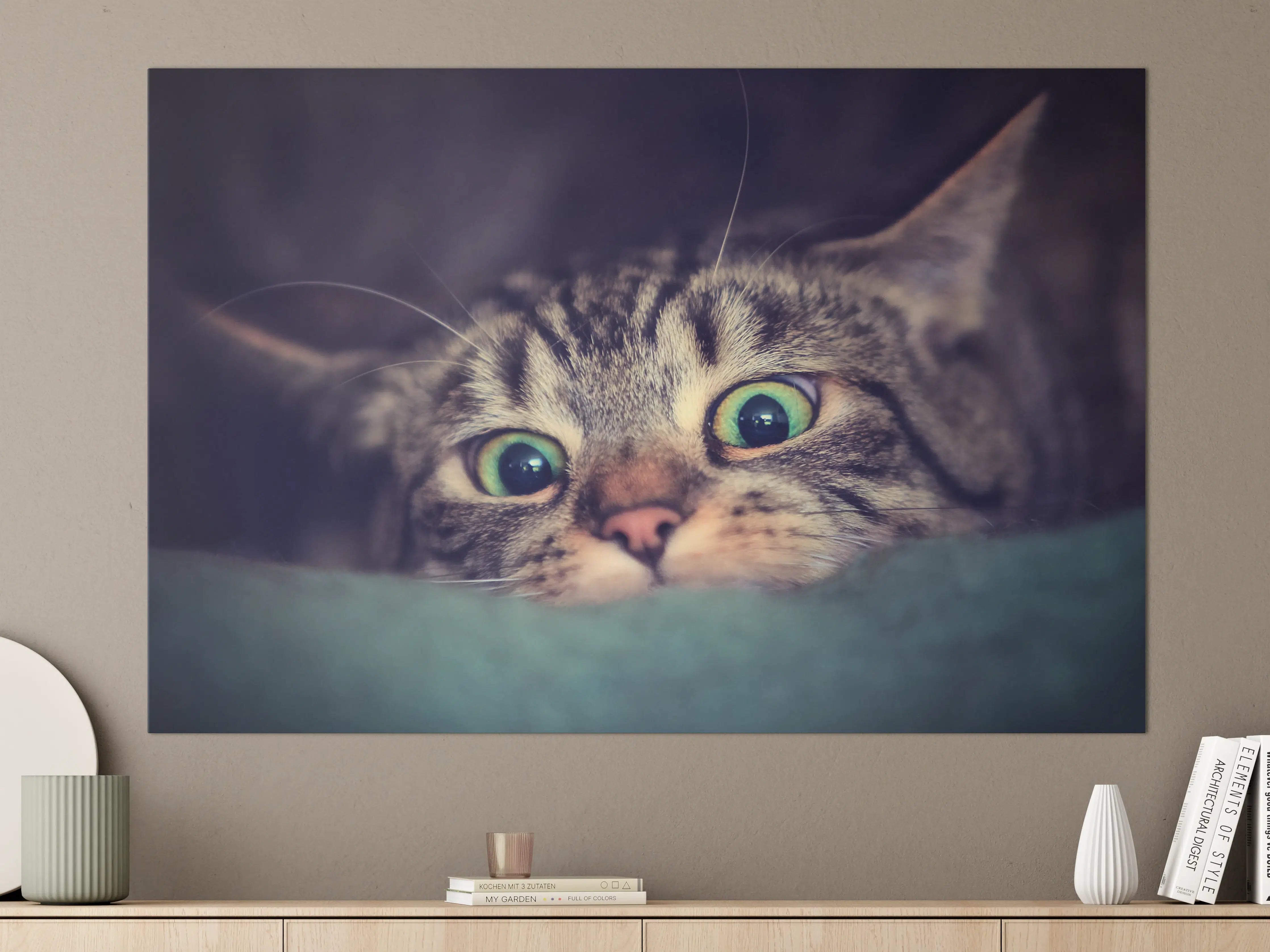 Große Wandbilder - Neugierige Katze mit grünen Augen