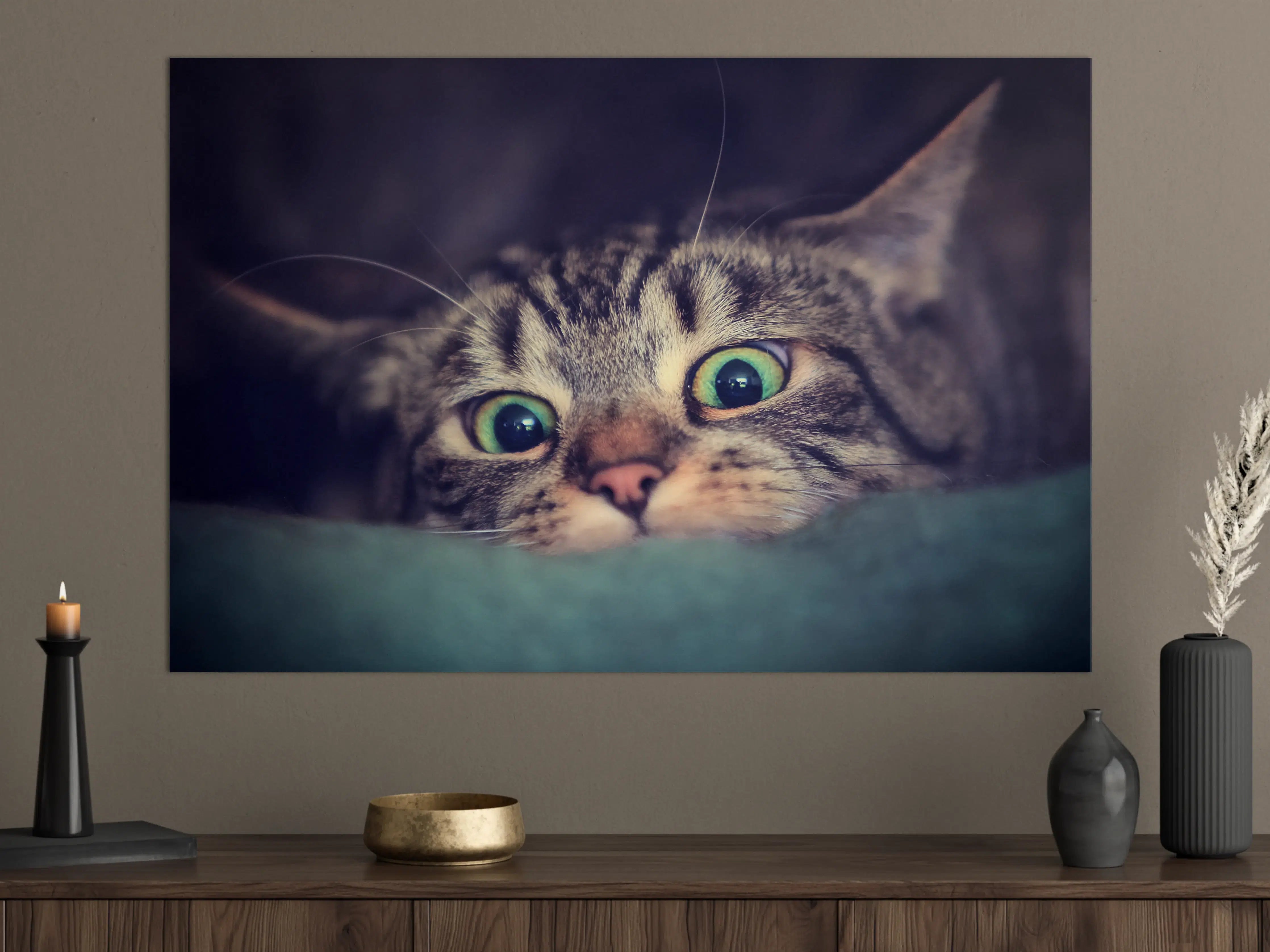 Große Wandbilder - Neugierige Katze mit grünen Augen