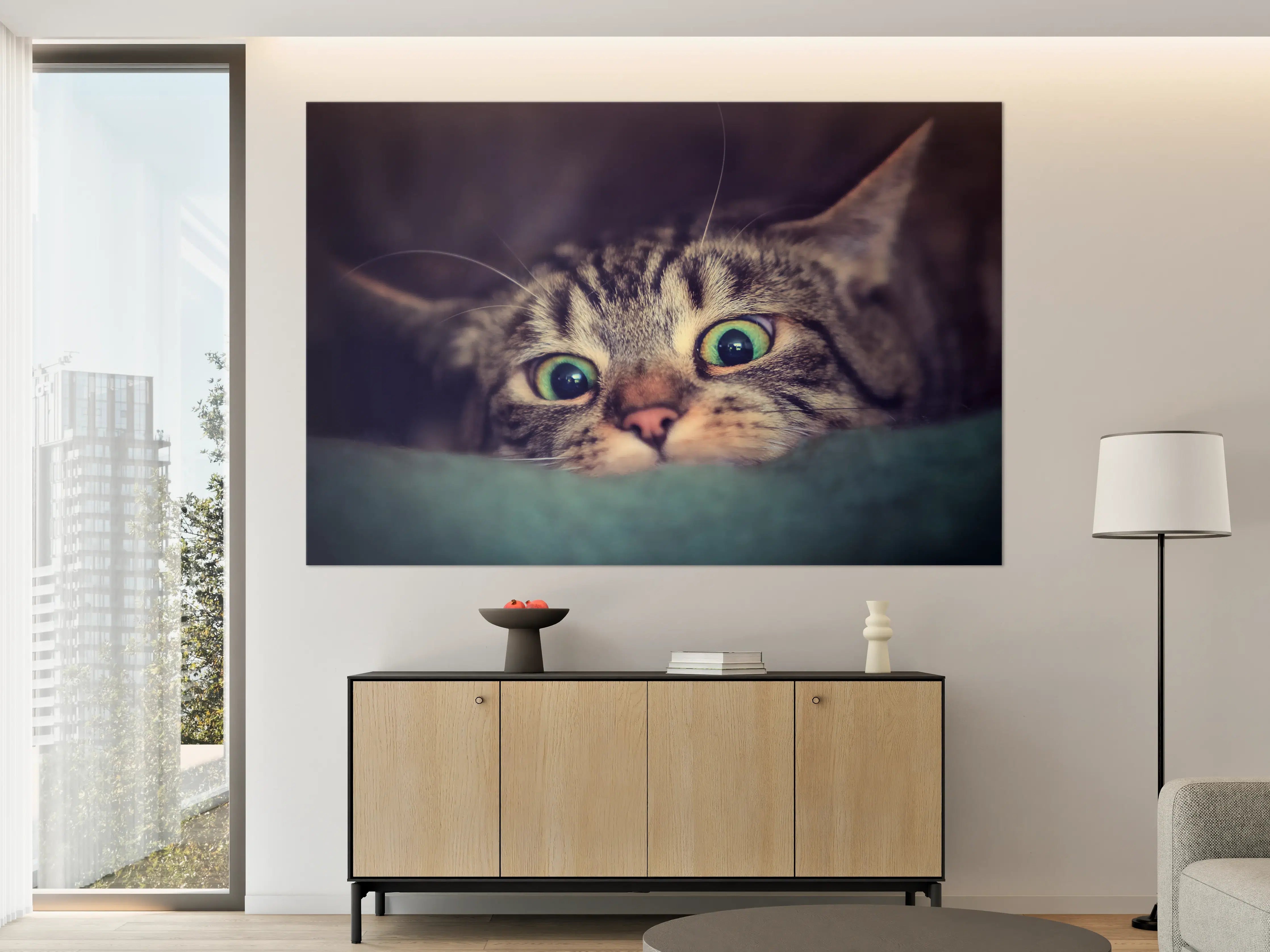 Große Wandbilder - Neugierige Katze mit grünen Augen