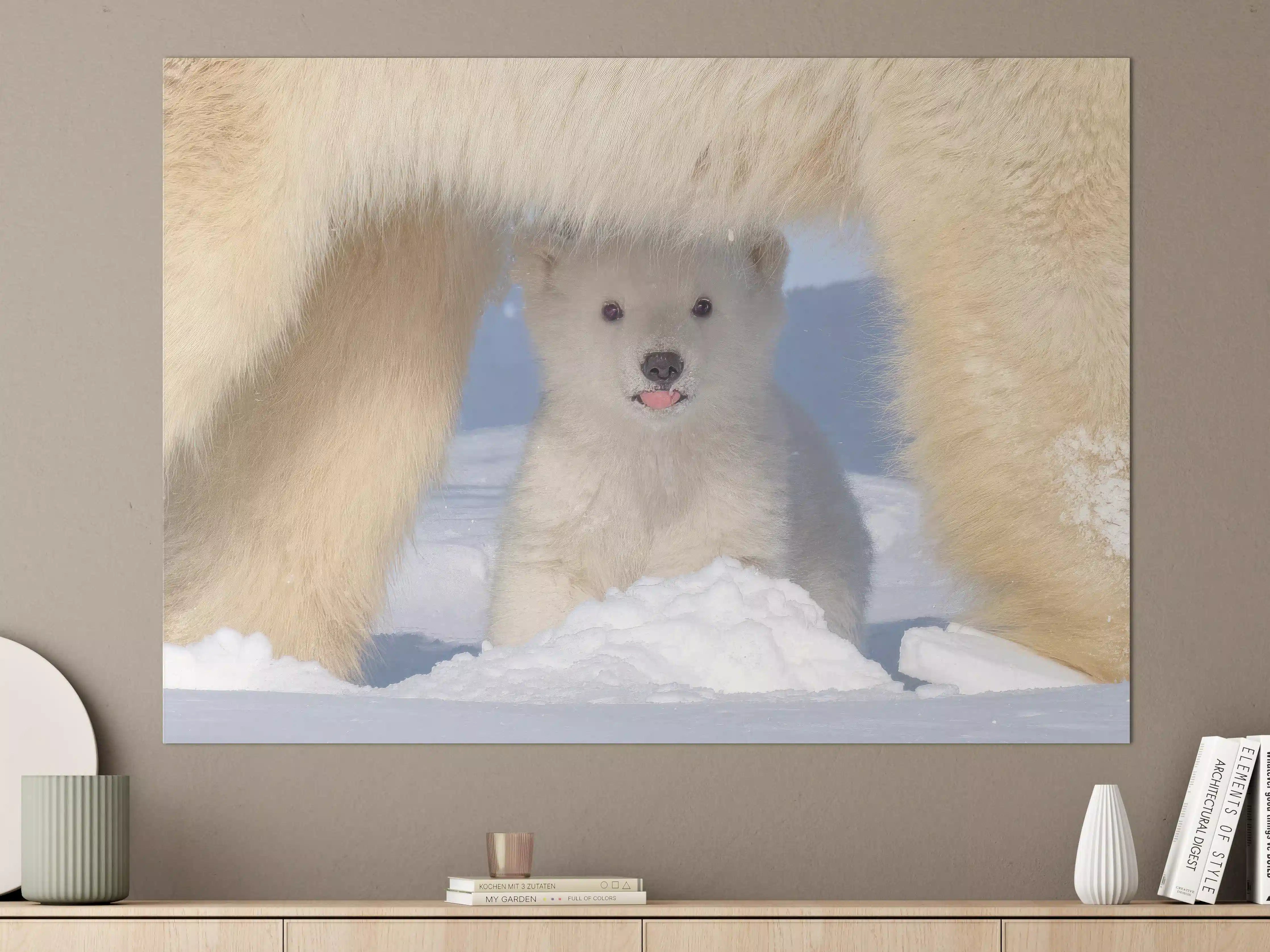 Große Wandbilder - Niedliches Jungtier - Eisbär