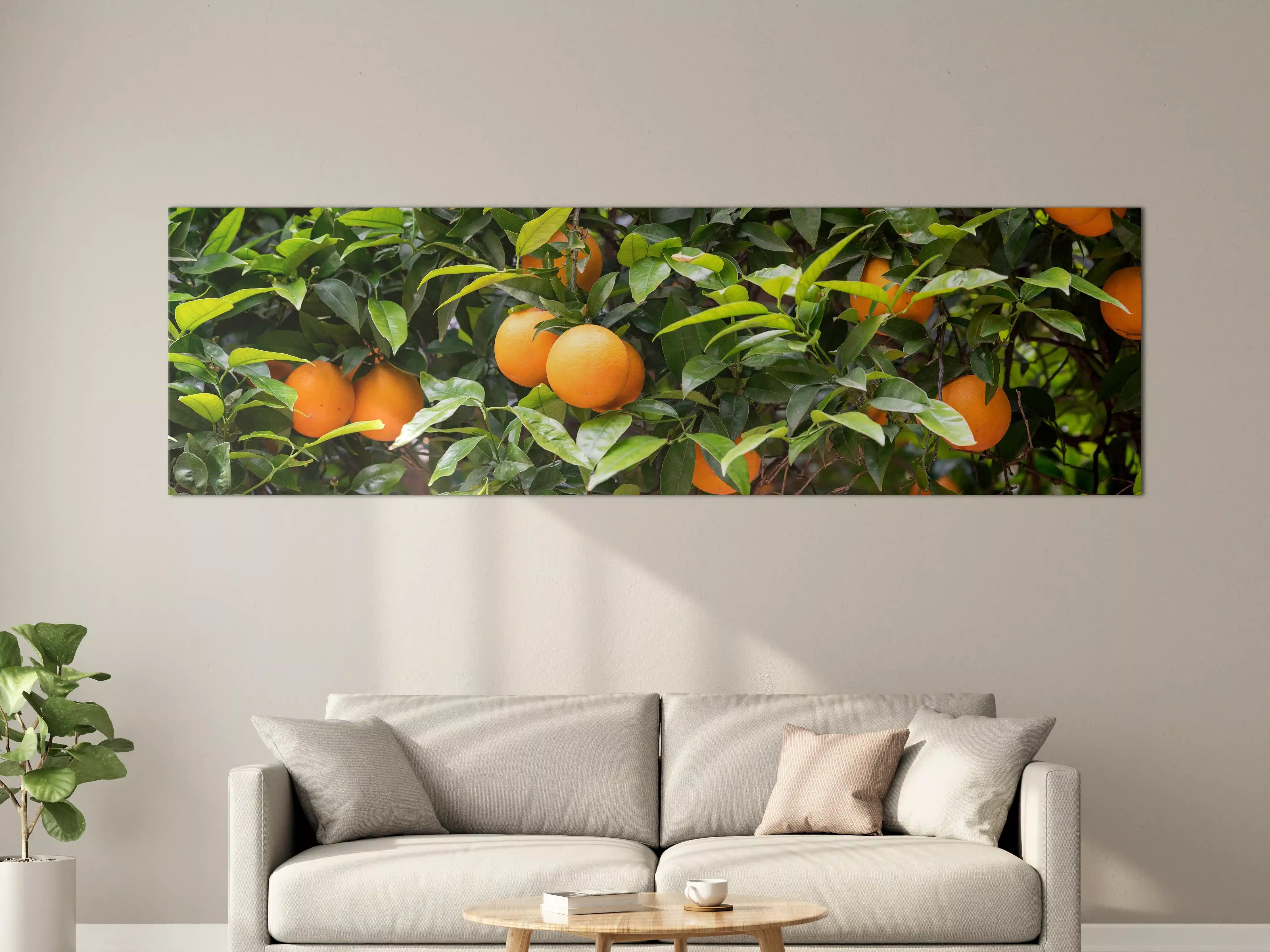 Große Wandbilder - Orangen im Zwinskygarten