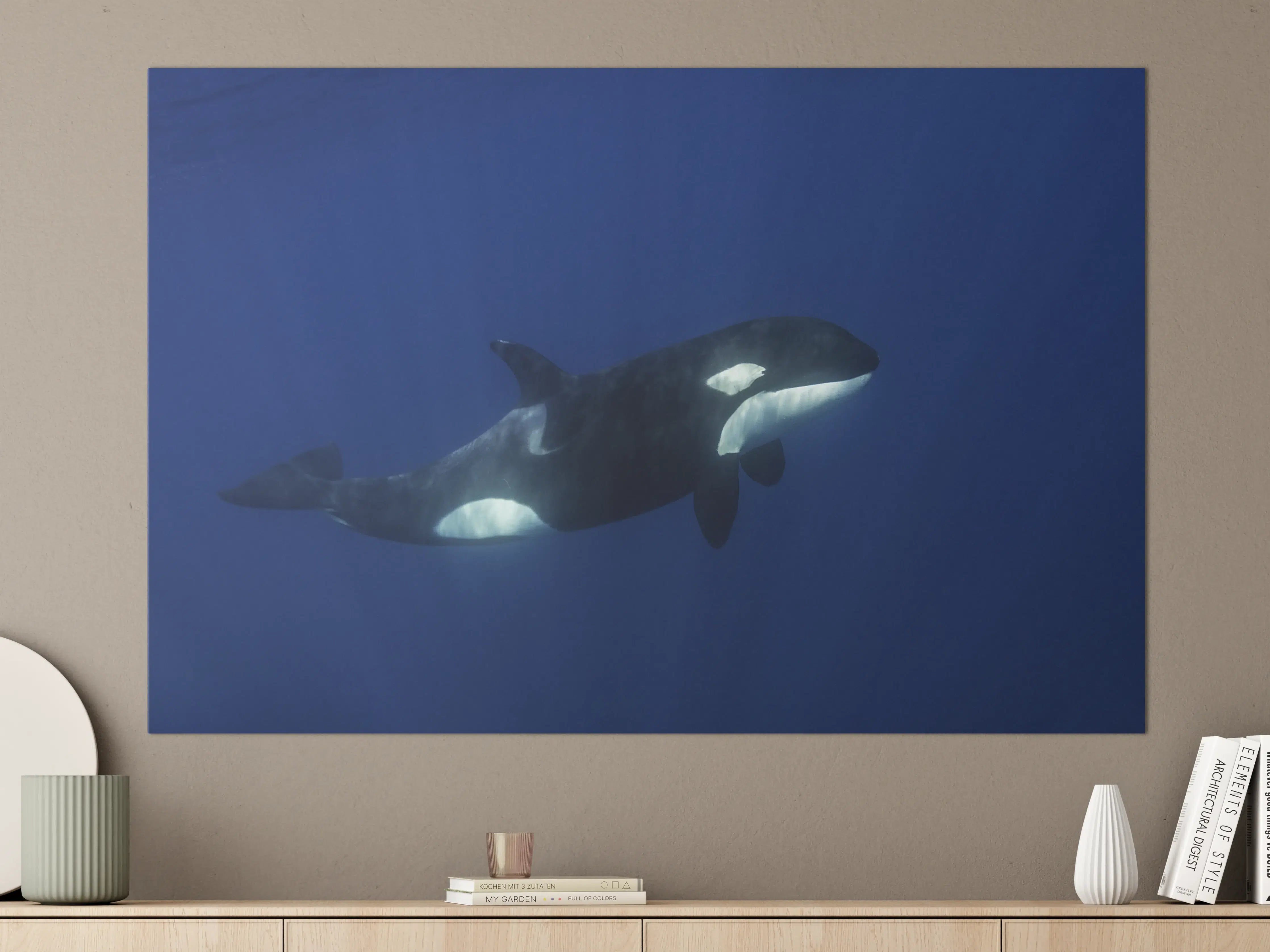 Große Wandbilder - Orca im blauen Pazifik