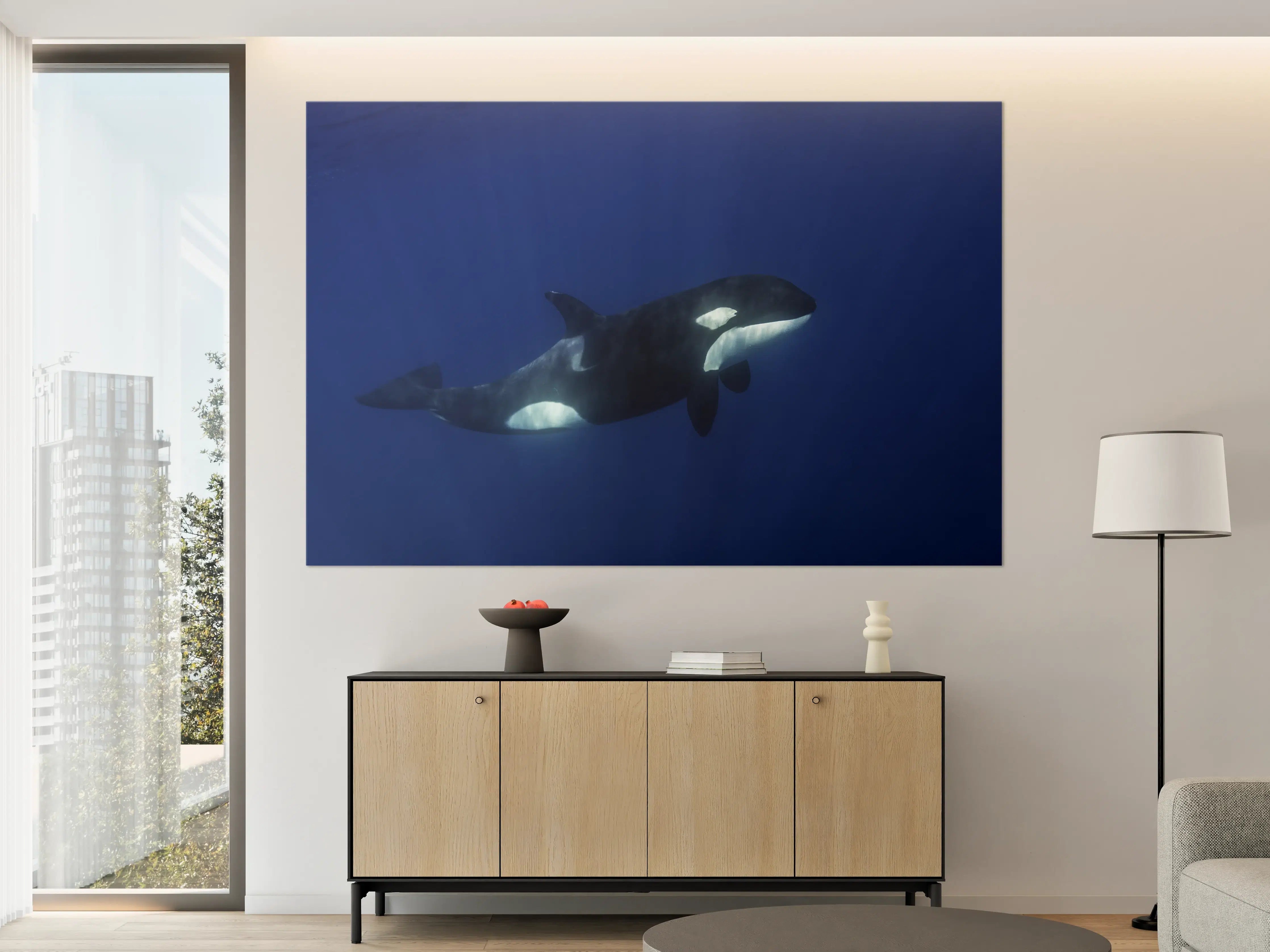 Große Wandbilder - Orca im blauen Pazifik