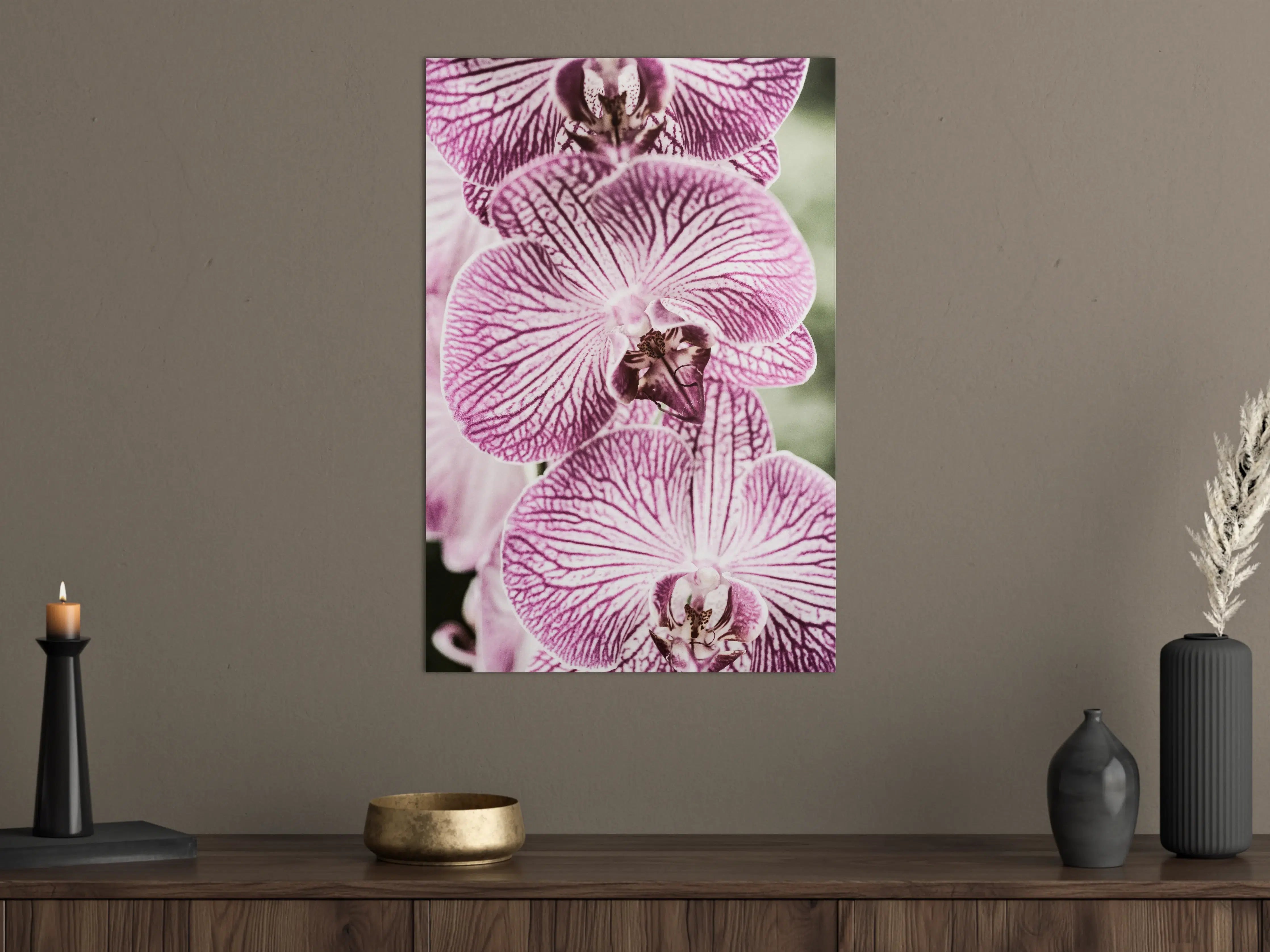 Große Wandbilder - Orchideen Makro Pink-Lila