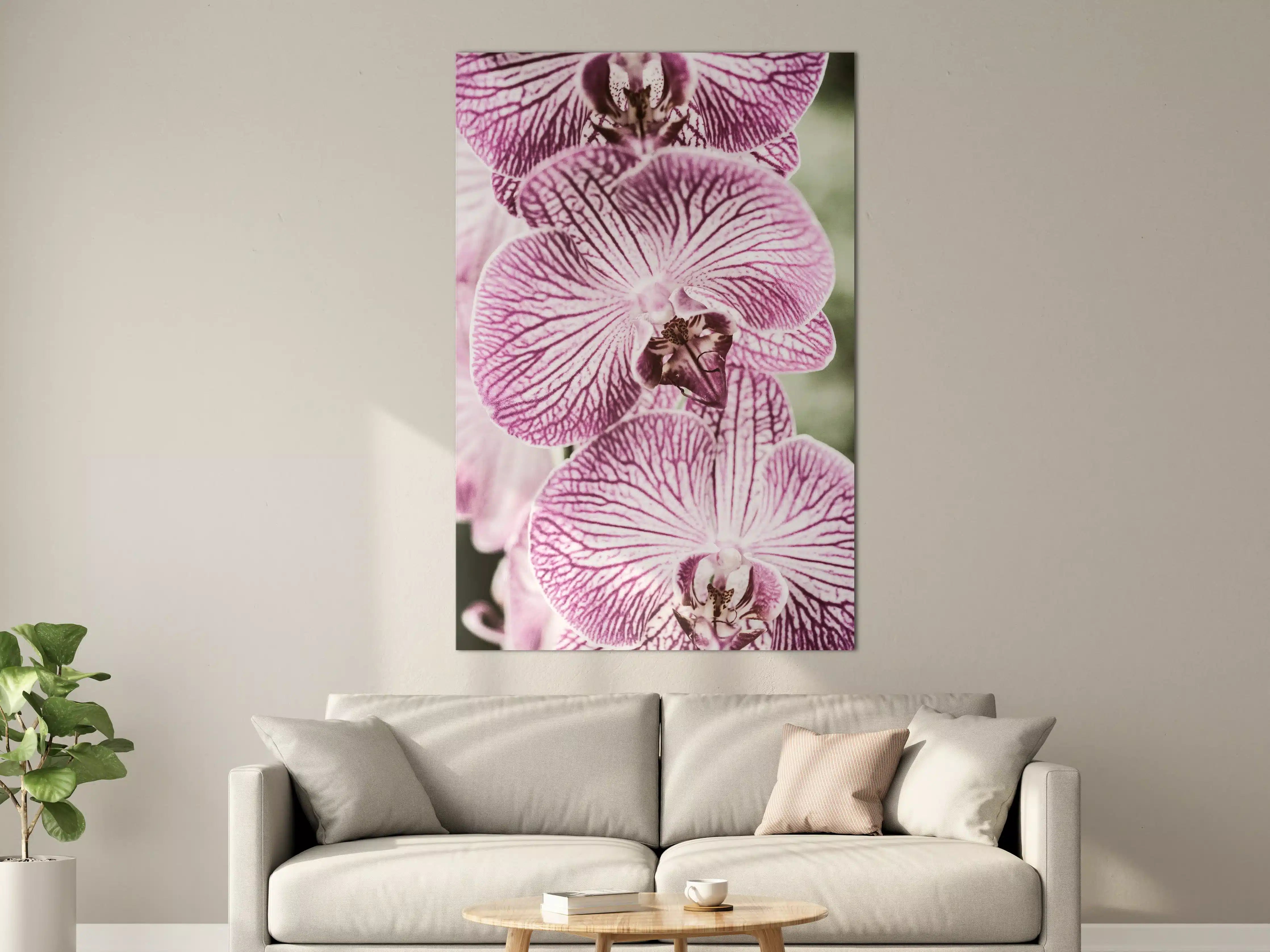 Große Wandbilder - Orchideen Makro Pink-Lila