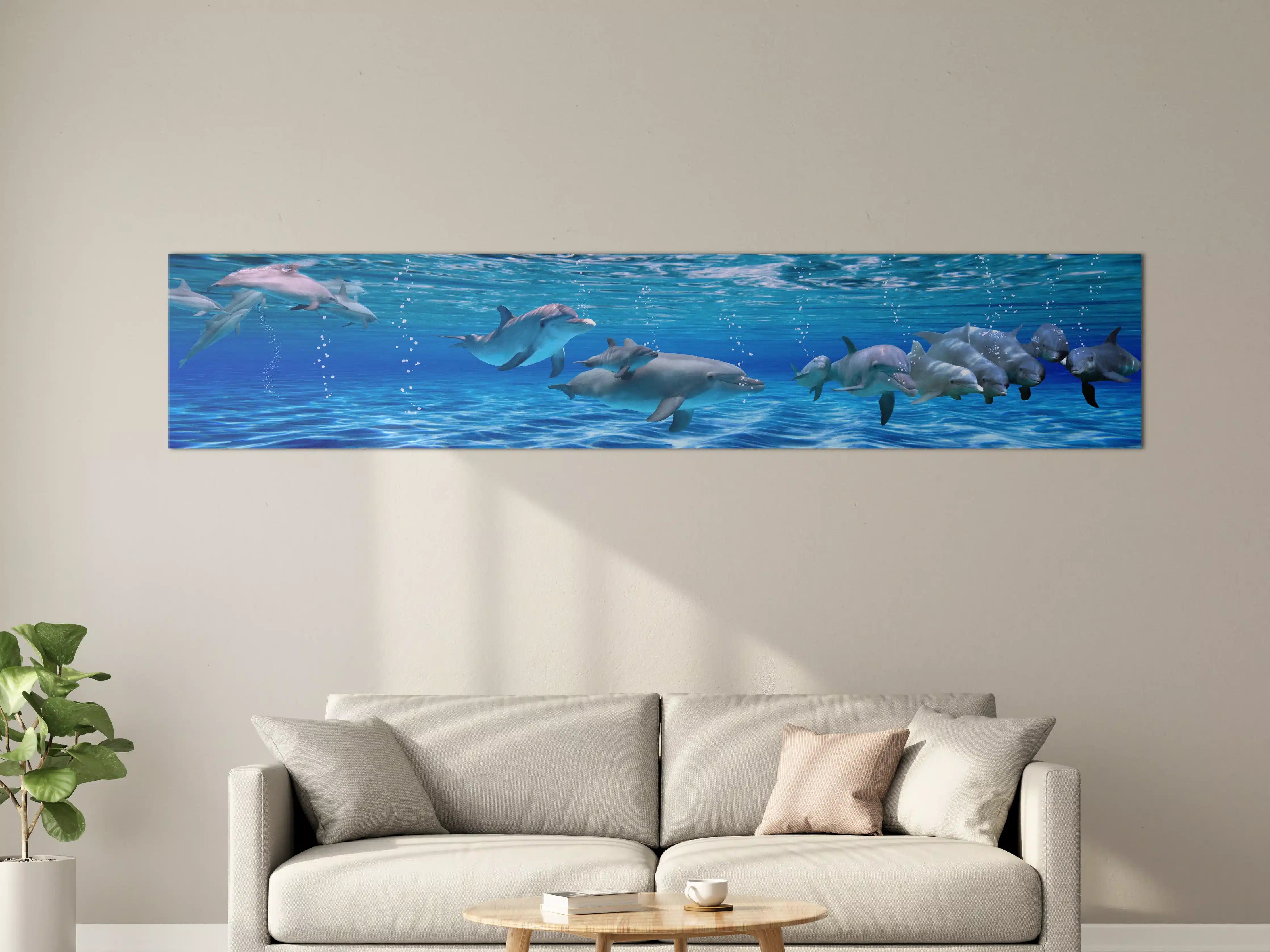 Große Wandbilder - Panorama der schwimmenden Delphine