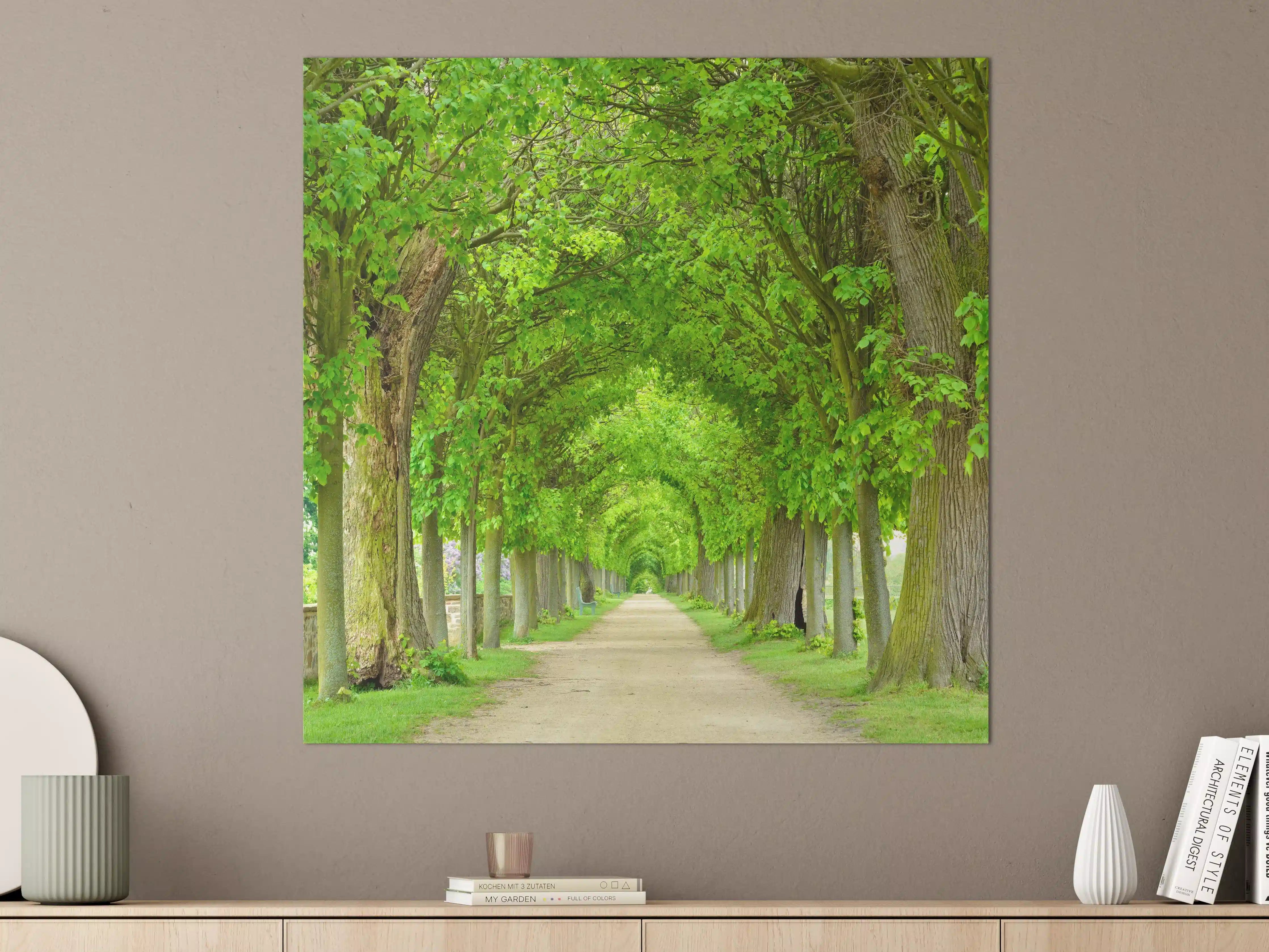 Große Wandbilder - Park mit tunnelartiger Lindenallee im Frühling