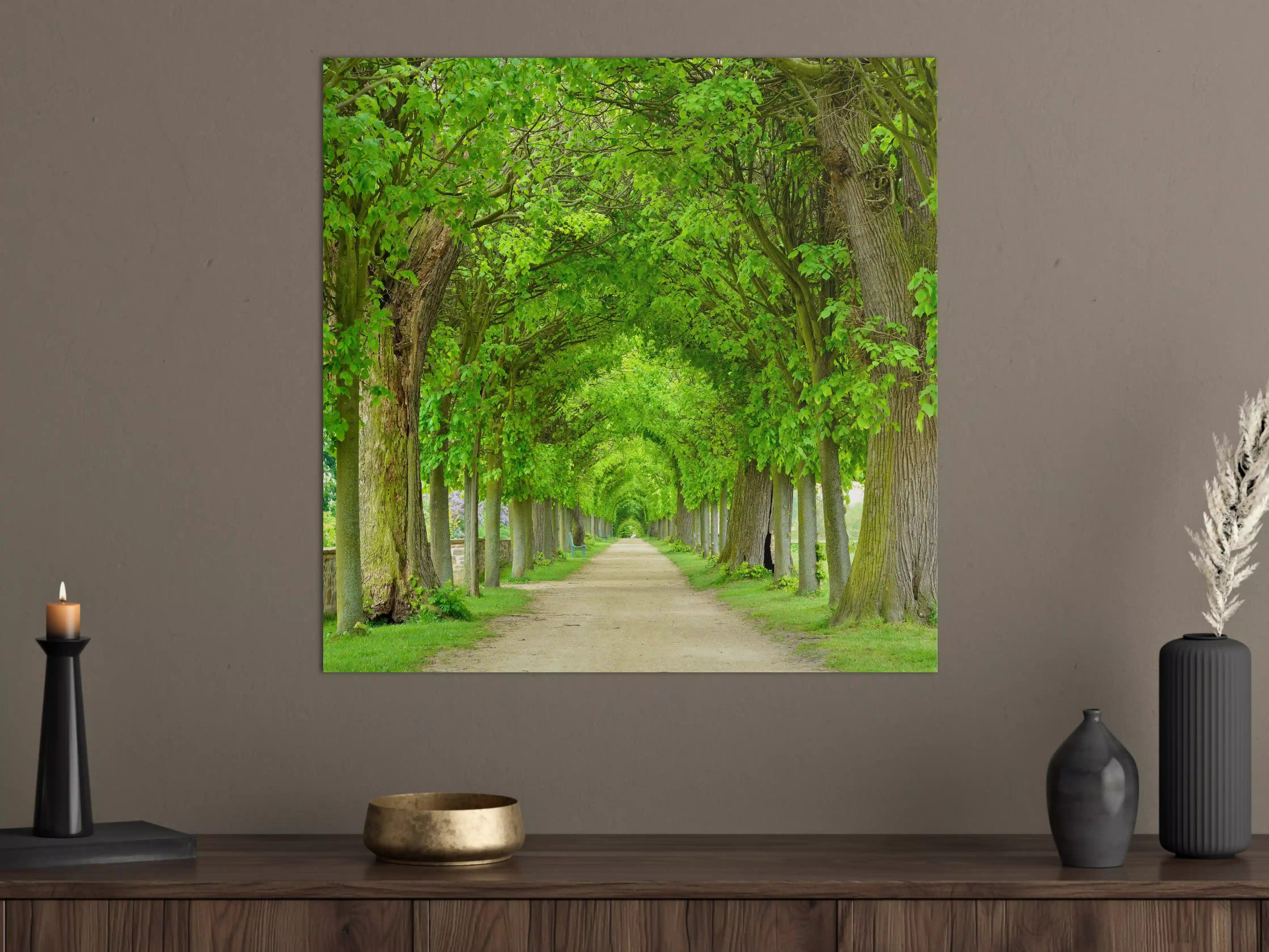 Große Wandbilder - Park mit tunnelartiger Lindenallee im Frühling