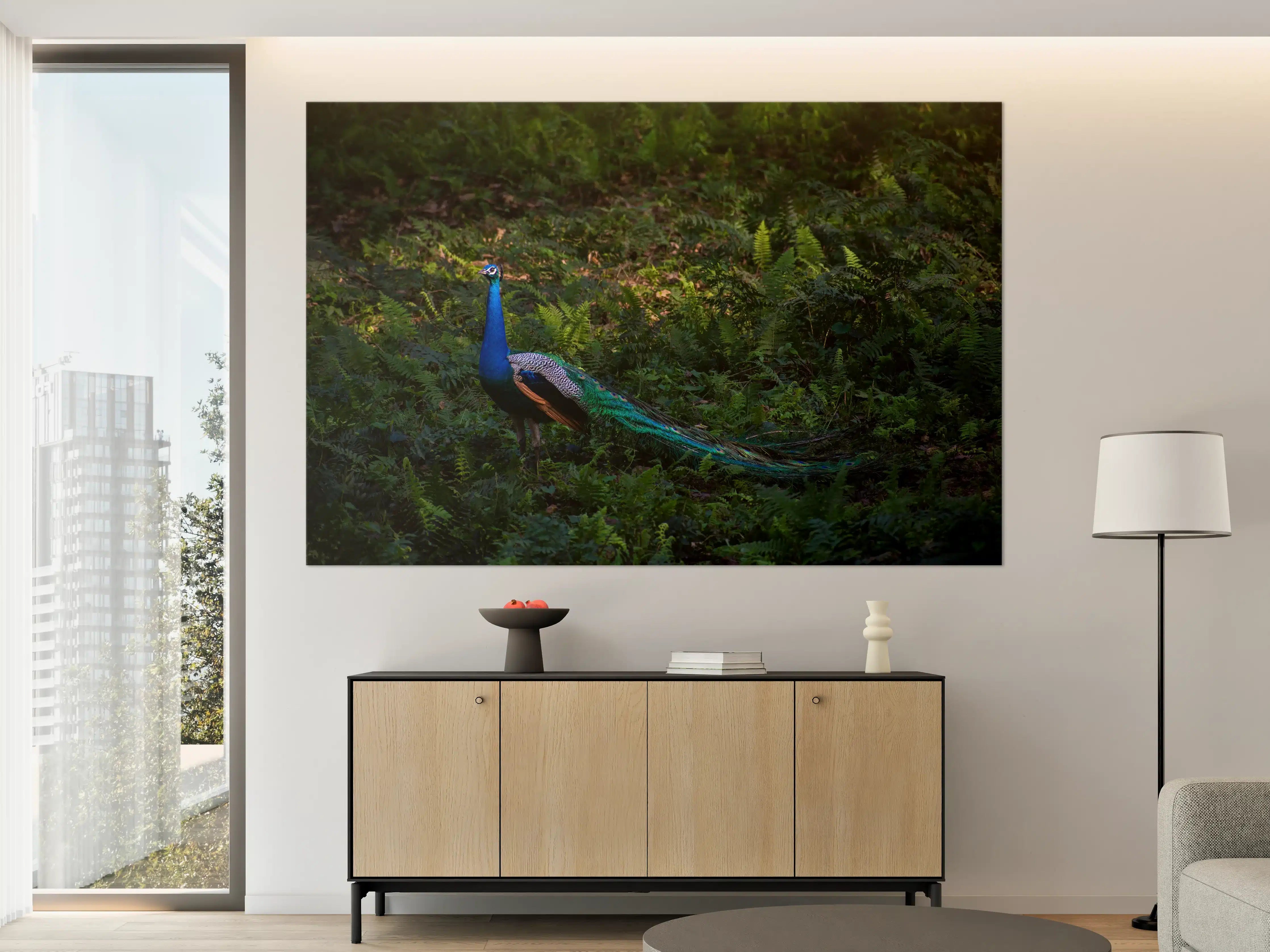 Große Wandbilder - Pfau in freier Natur
