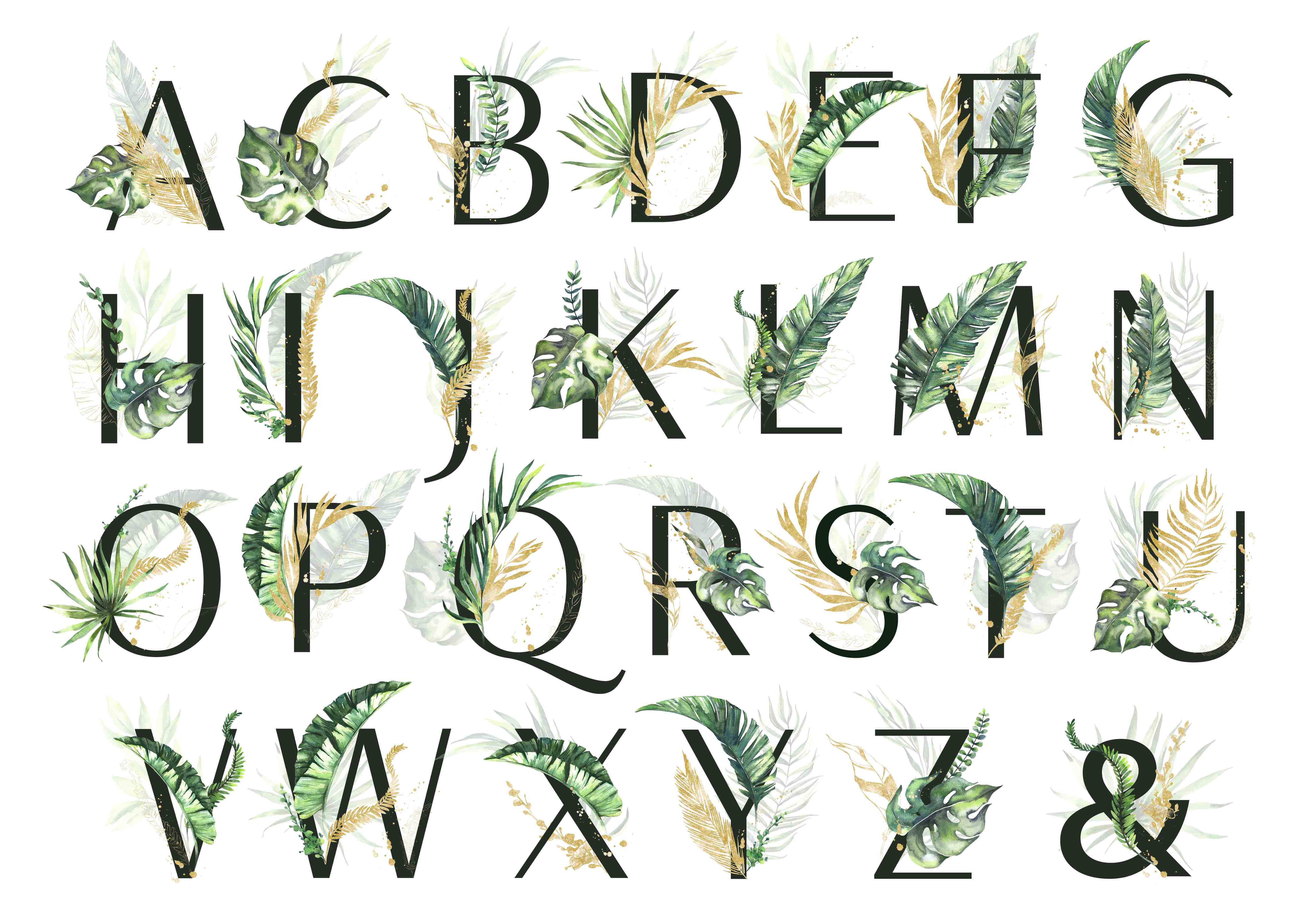 Große Wandbilder-Pflanzliche Alphabet Sammlung