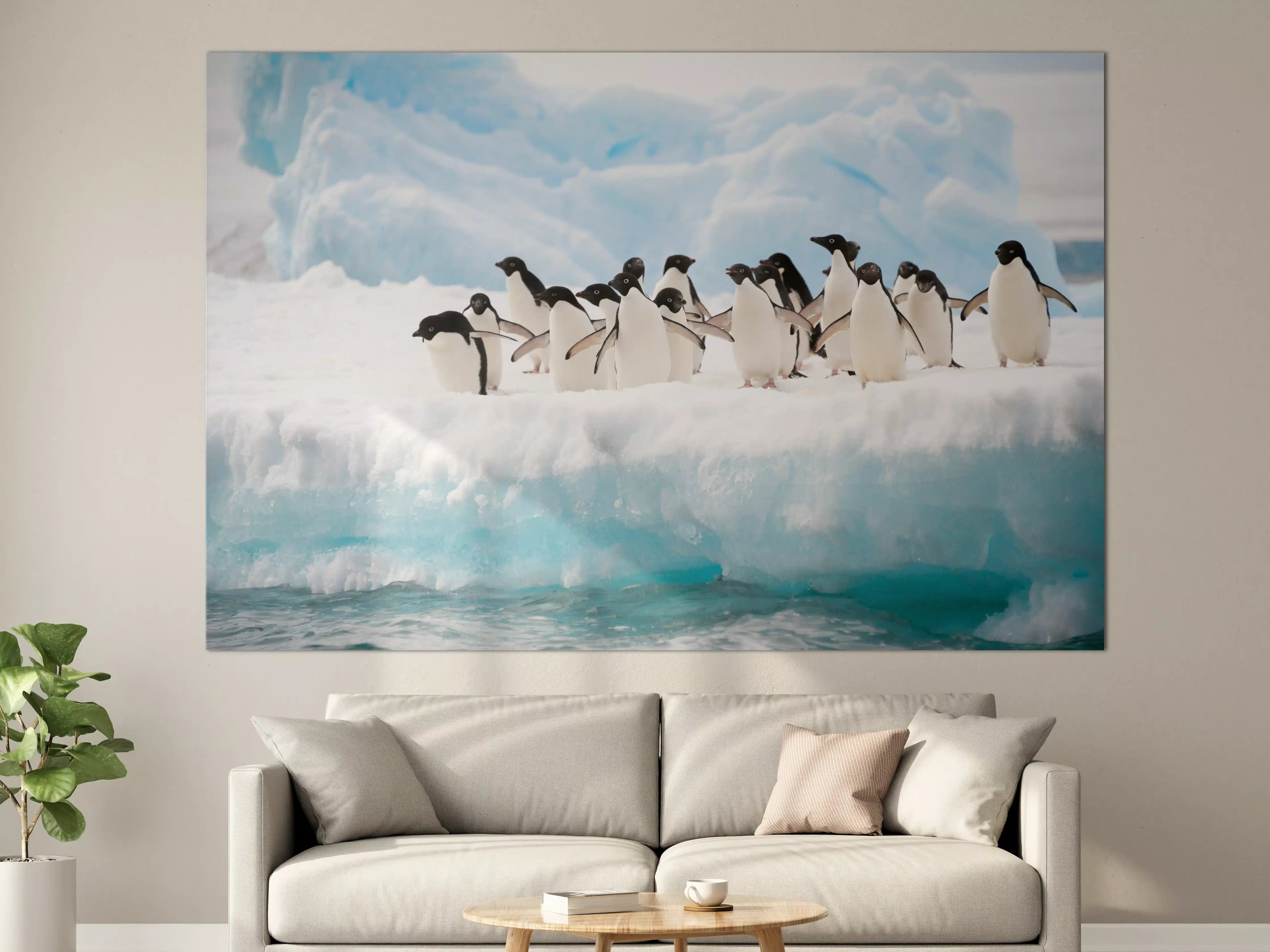 Große Wandbilder - Pinguine auf Eis vor Gletscher