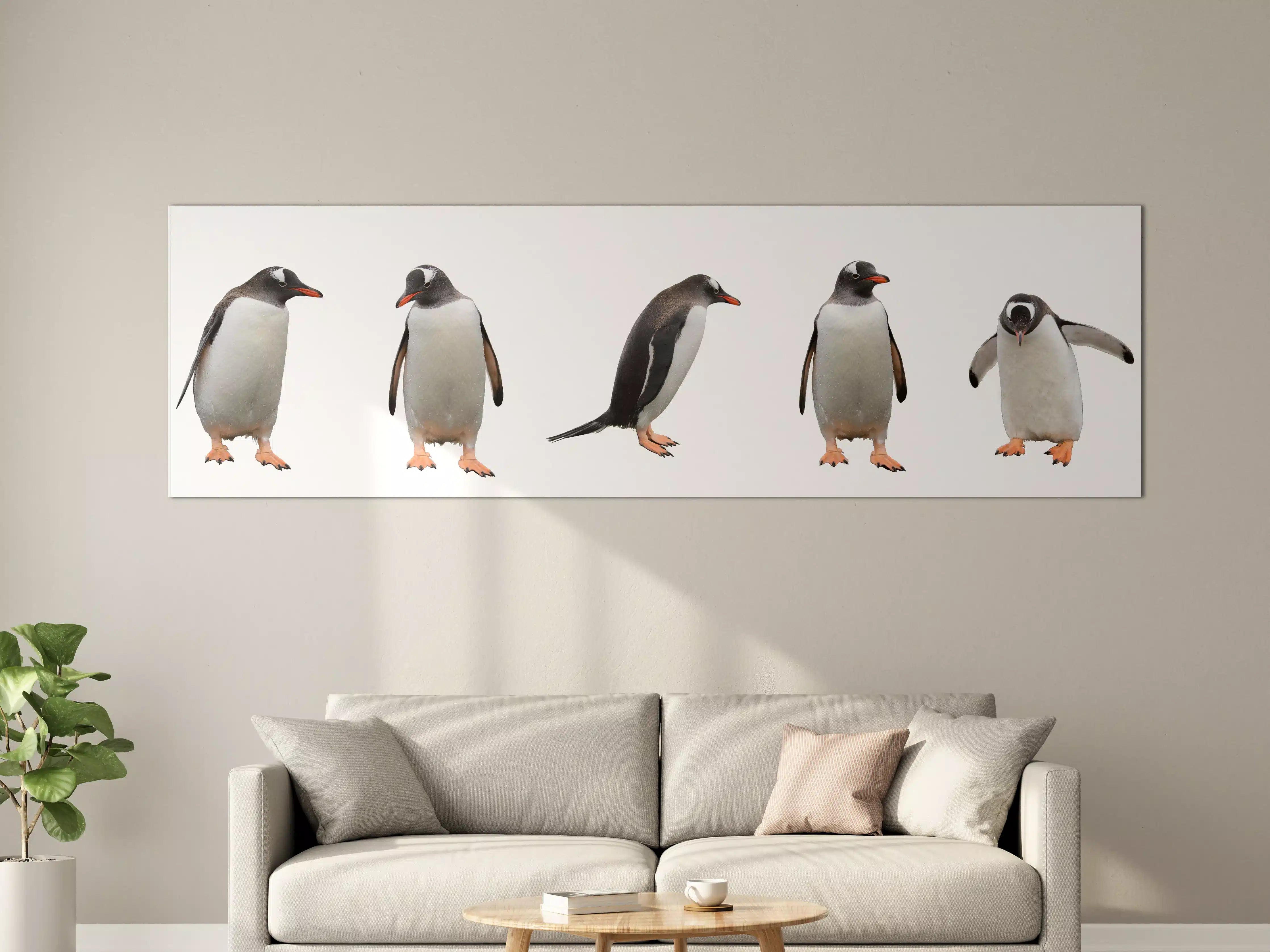 Große Wandbilder - Pinguine auf weißem Hintergrund