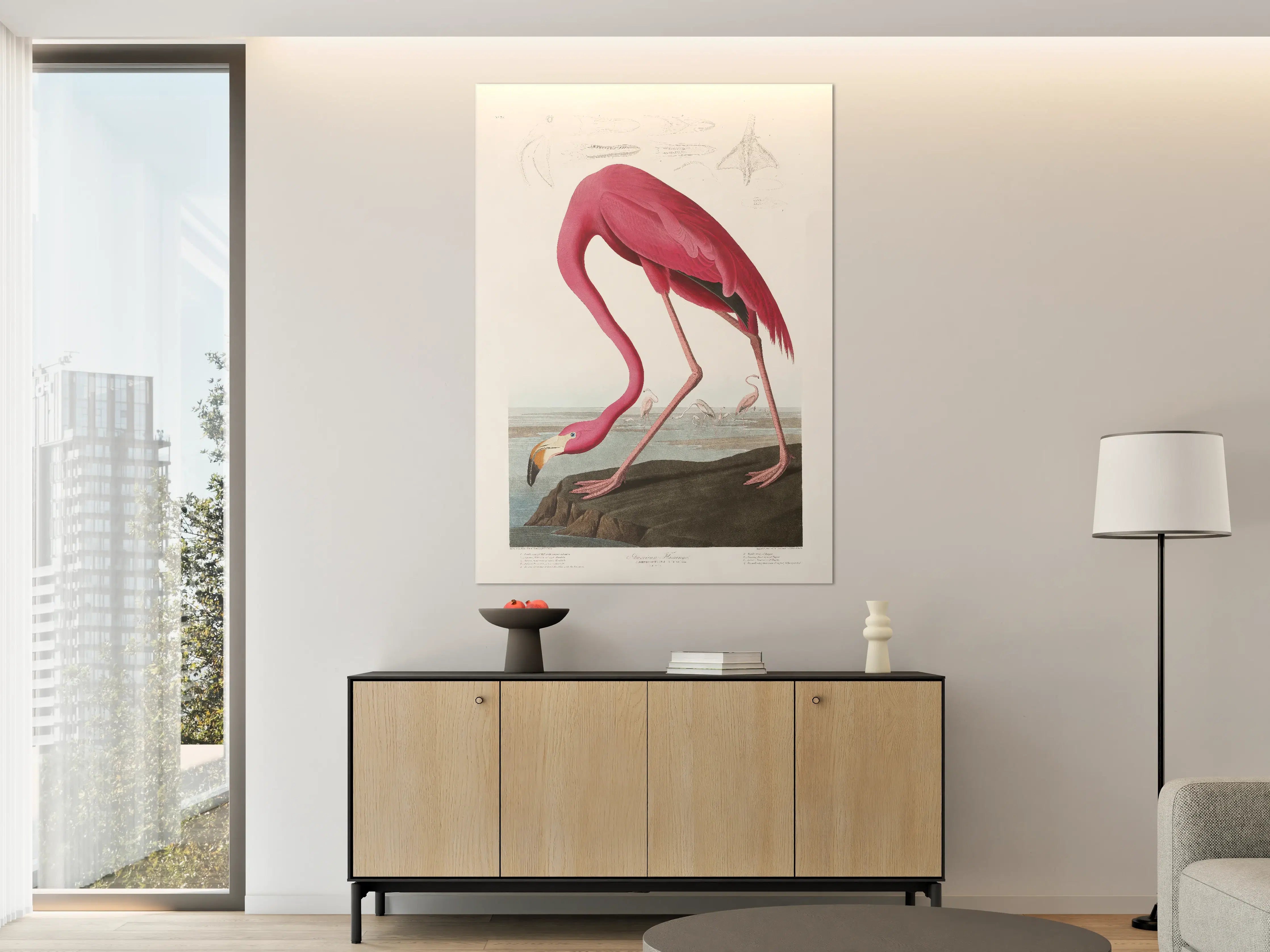 Große Wandbilder - Pinker Flamingo - John James Audubon