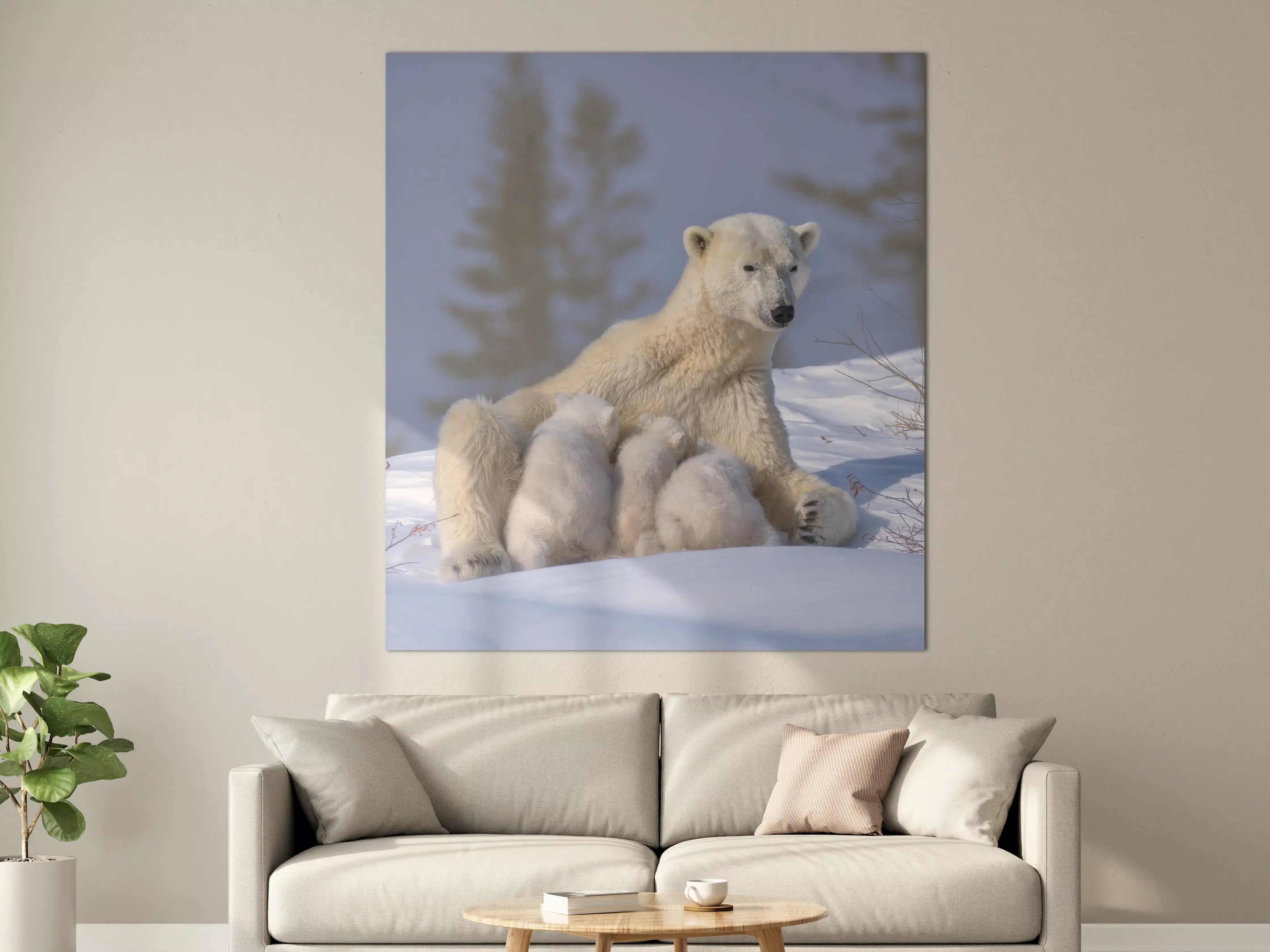 Große Wandbilder - Polarbären Familie im Schnee