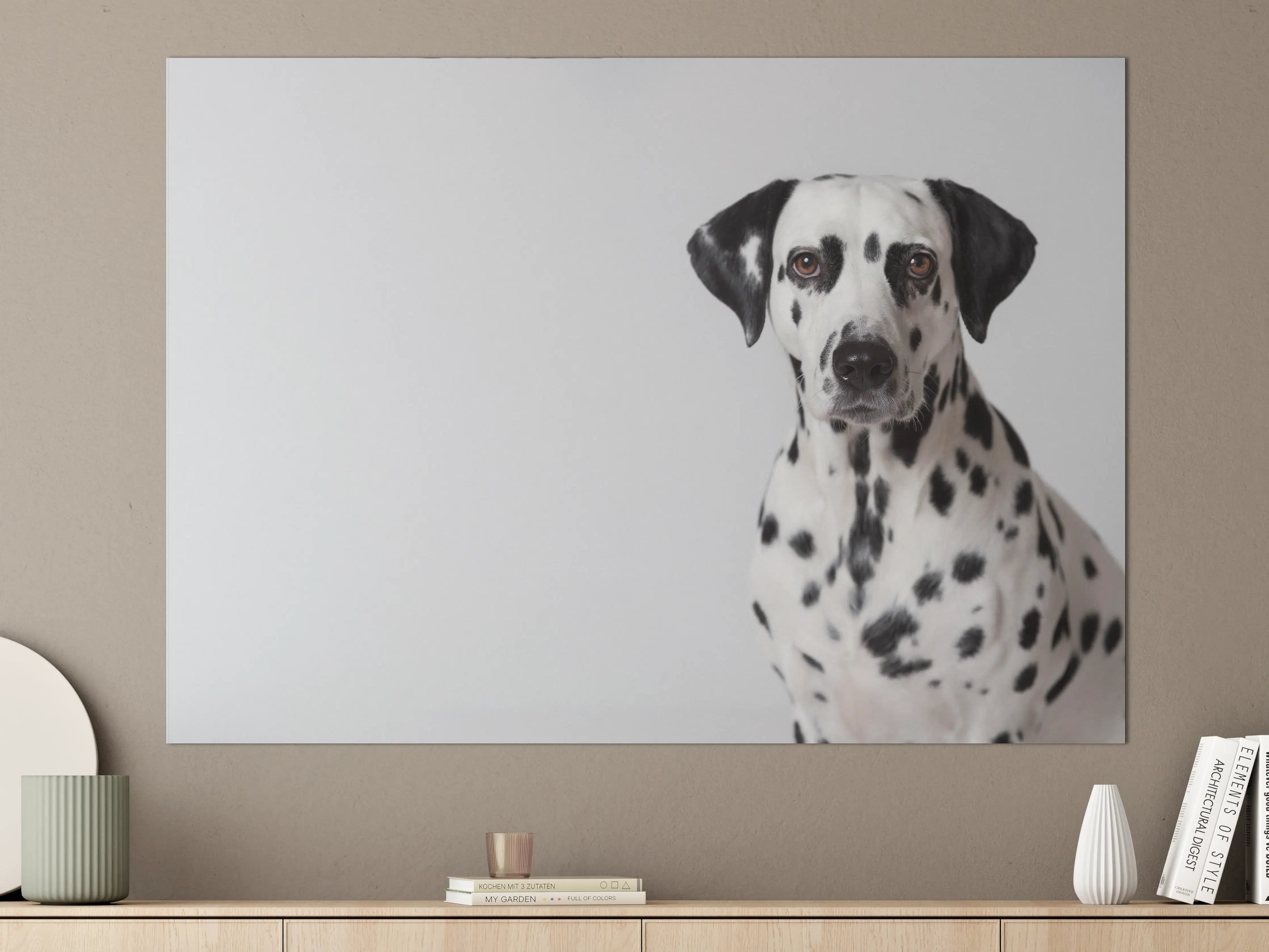 Große Wandbilder - Portrait eines Dalmatiners auf weißem Hintergrund