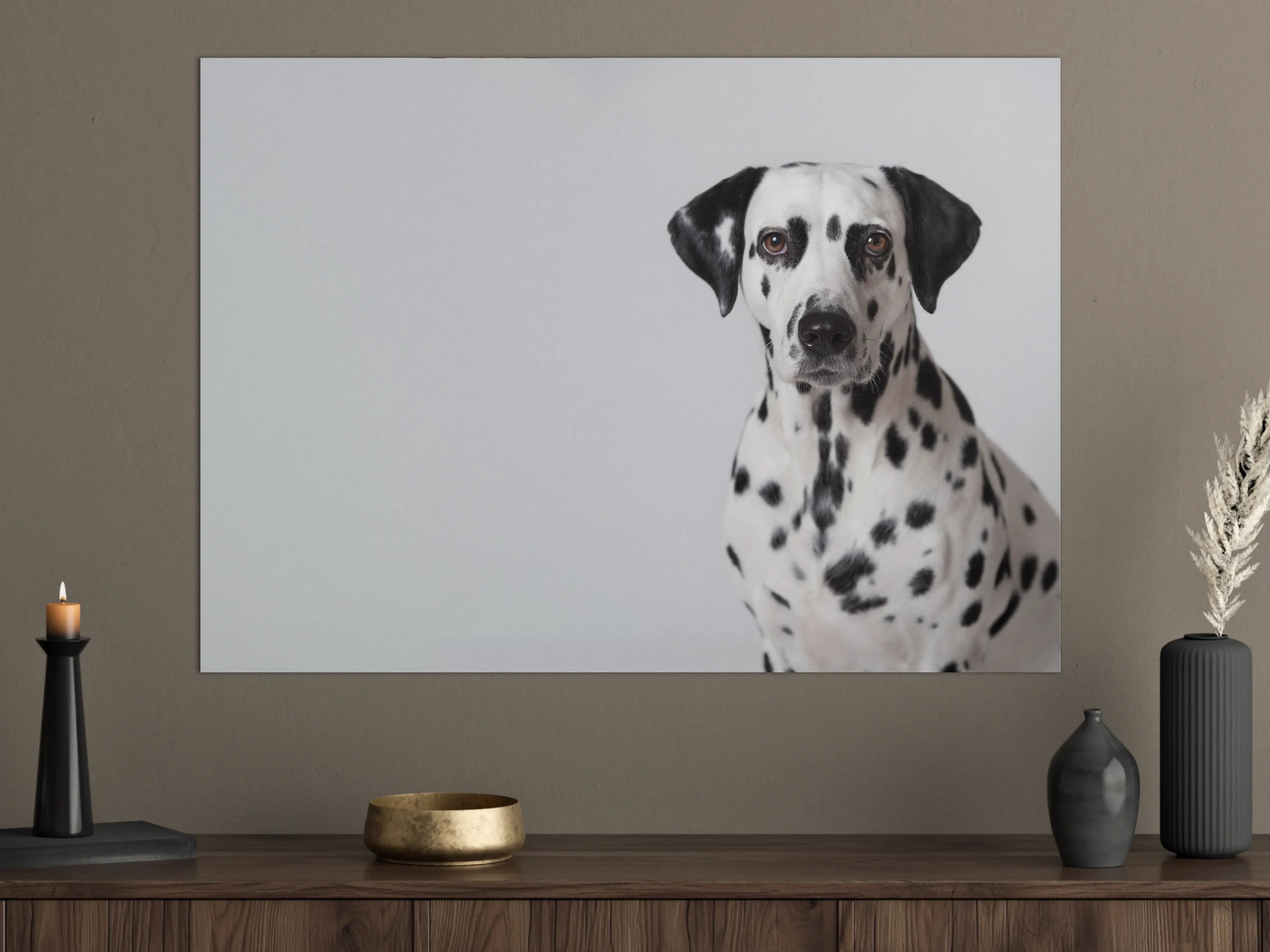 Große Wandbilder - Portrait eines Dalmatiners auf weißem Hintergrund