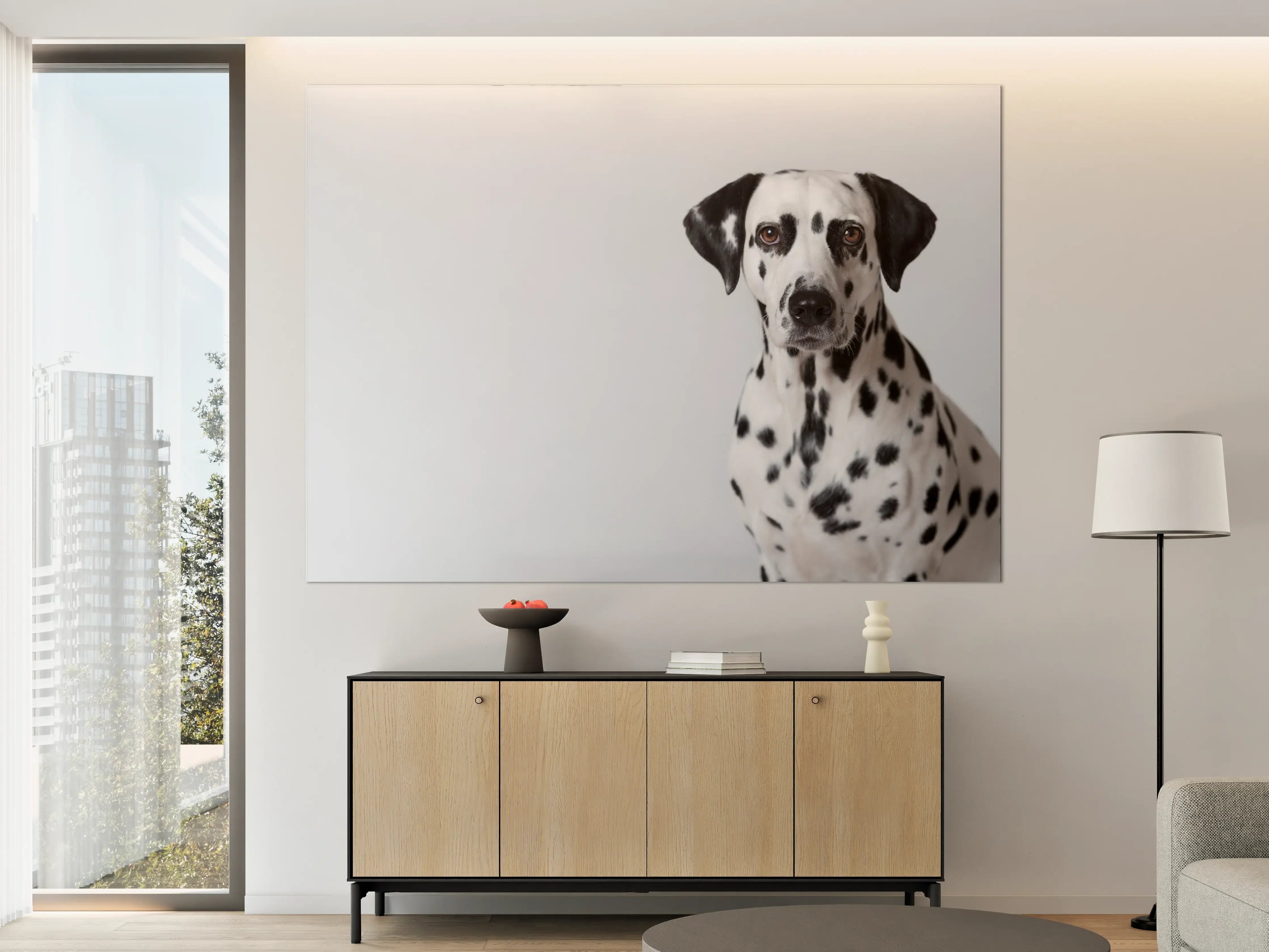 Große Wandbilder - Portrait eines Dalmatiners auf weißem Hintergrund