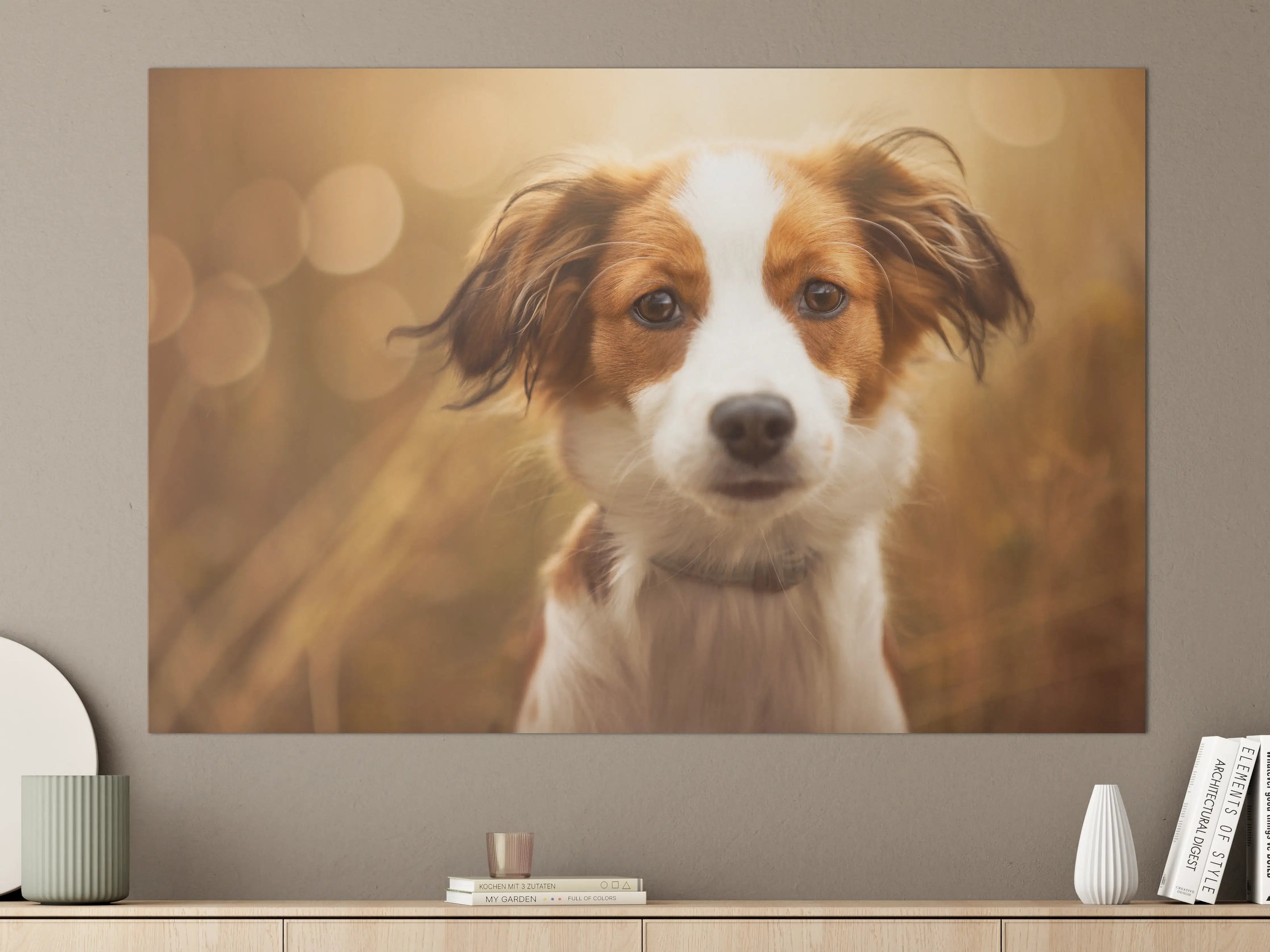 Große Wandbilder - Portrait eines süßen Kooiker Hundes