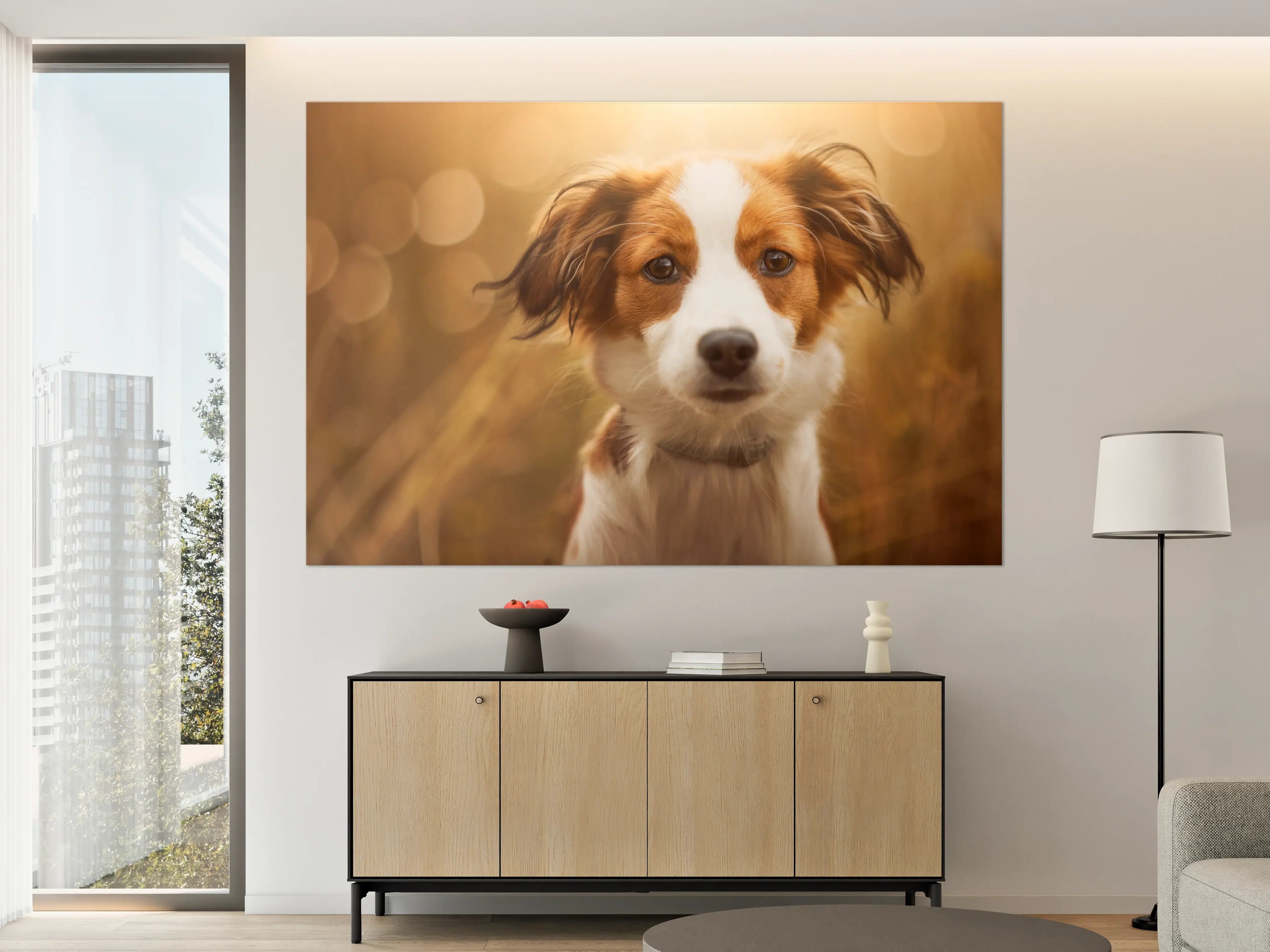 Große Wandbilder - Portrait eines süßen Kooiker Hundes