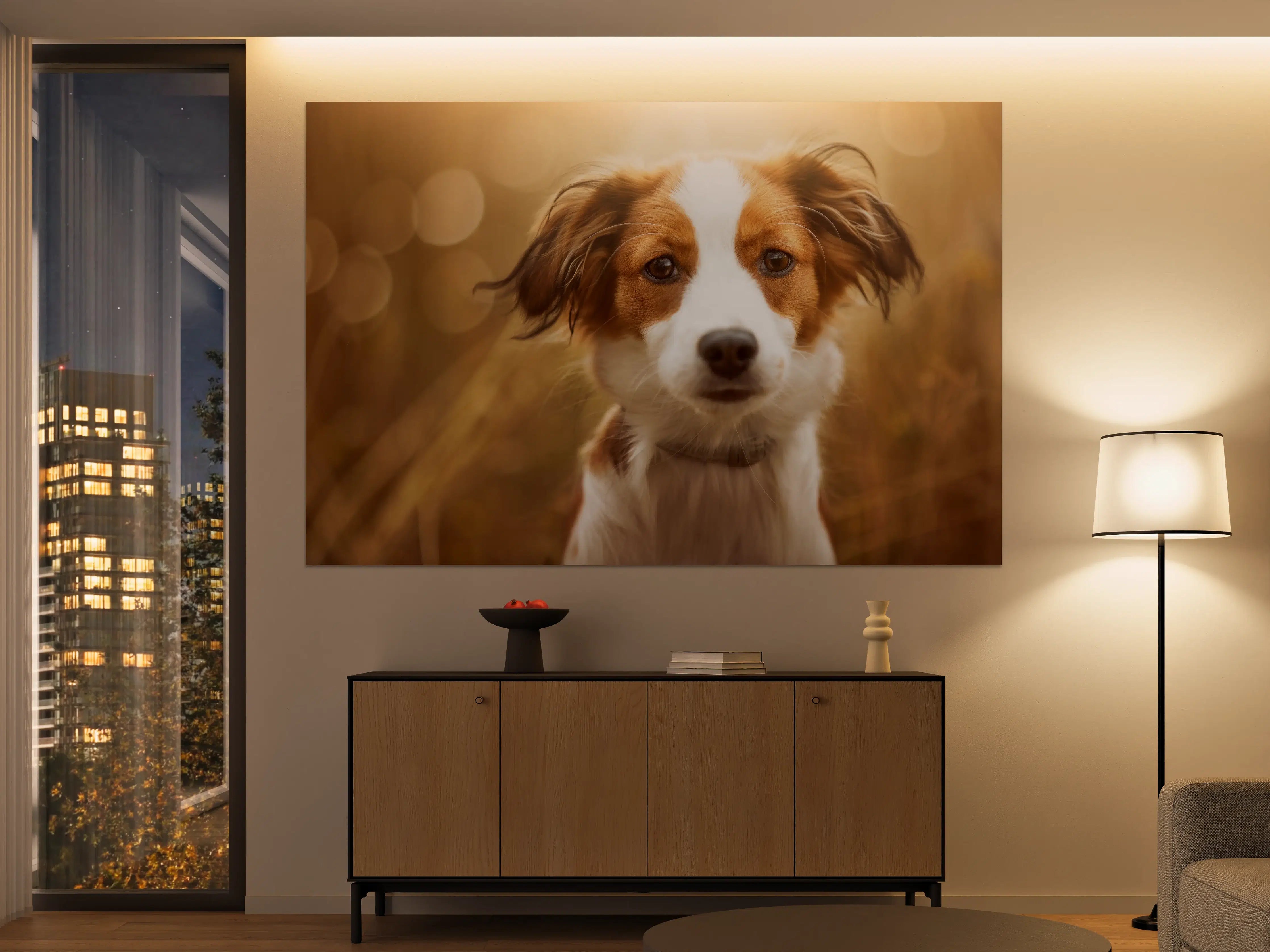 Große Wandbilder - Portrait eines süßen Kooiker Hundes