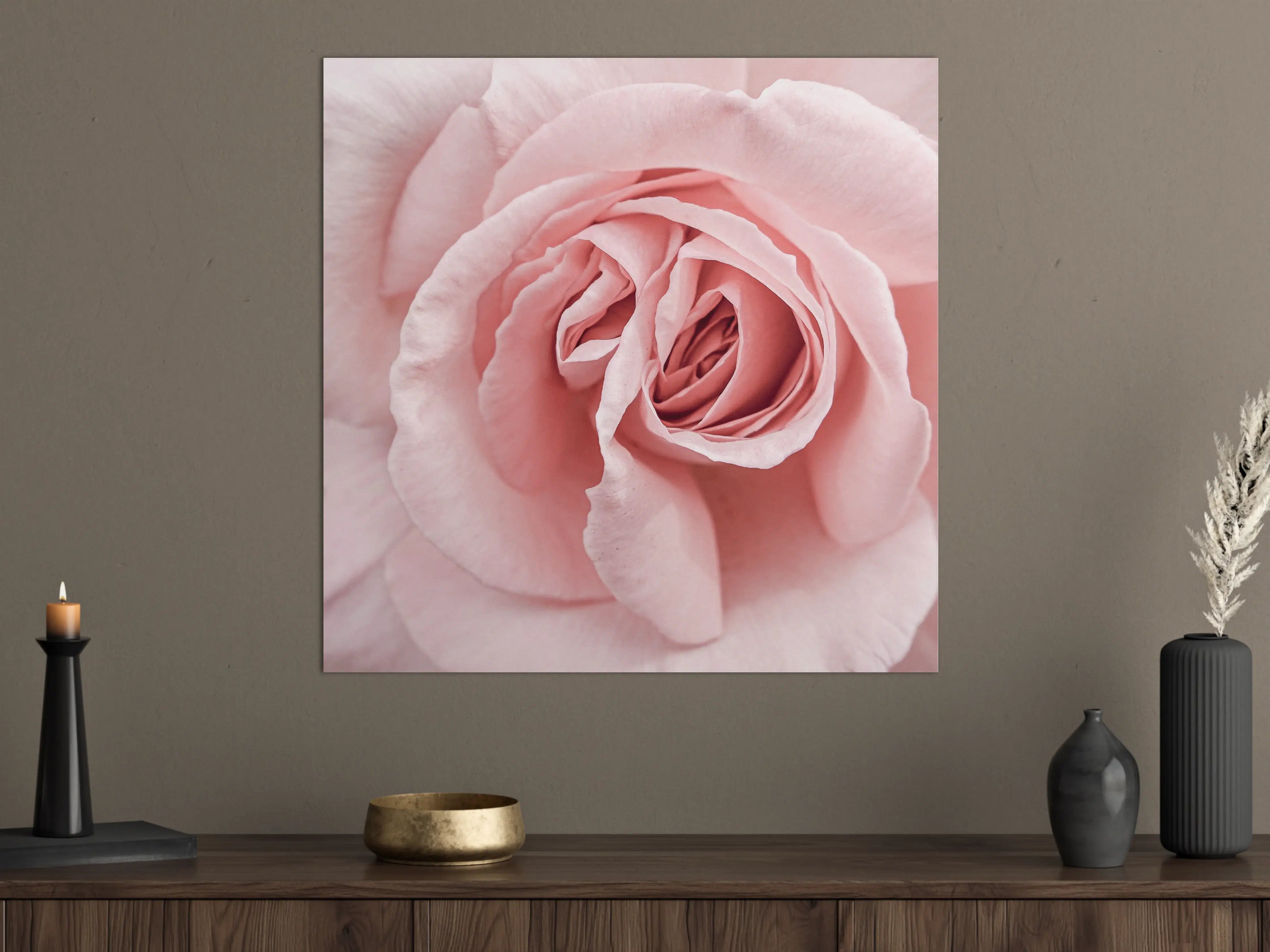 Große Wandbilder - Prächtige rosa Rose