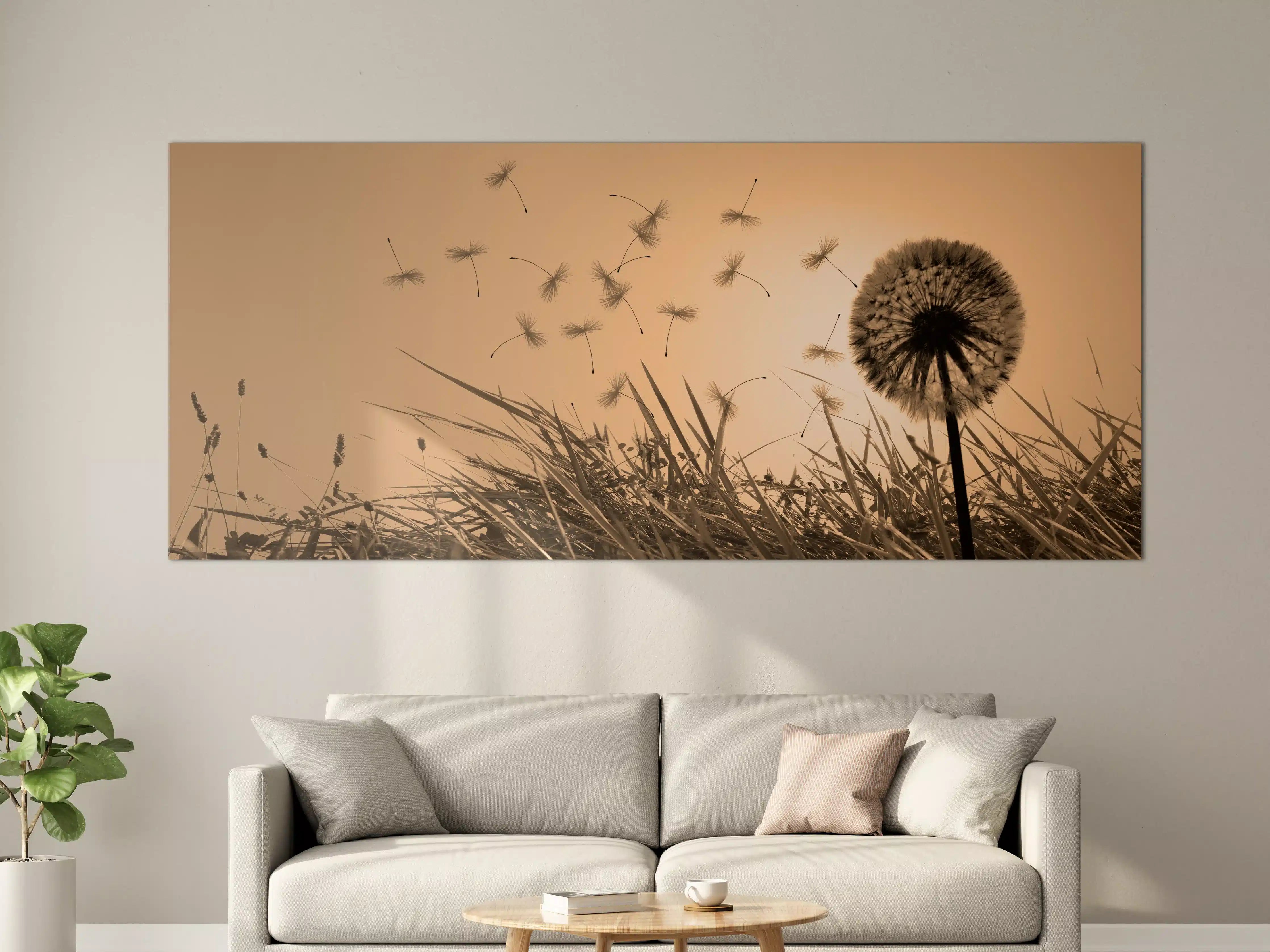 Große Wandbilder - Pusteblume beim Sonnenuntergang