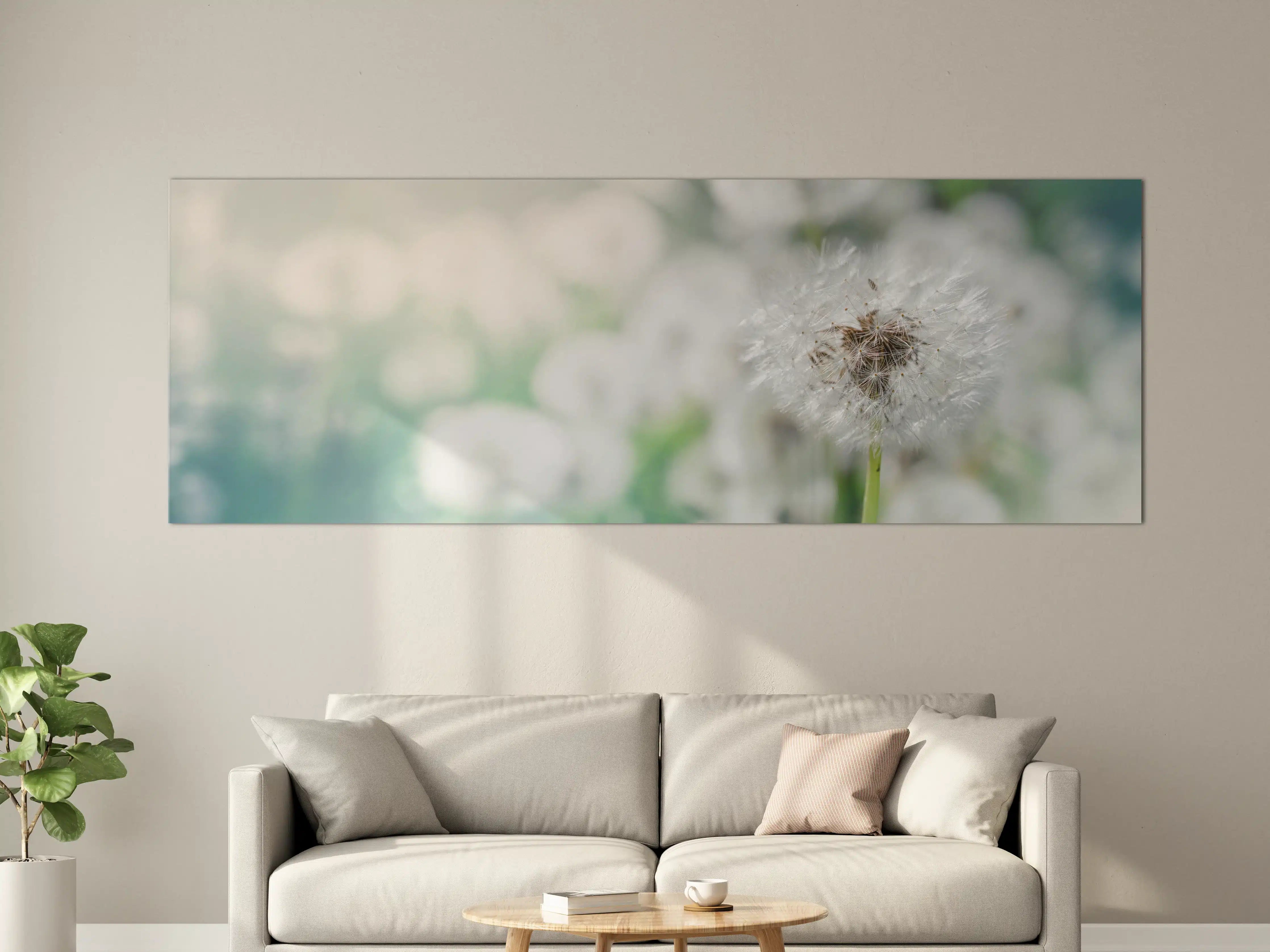 Große Wandbilder - Pusteblume in Türkis-Weiß