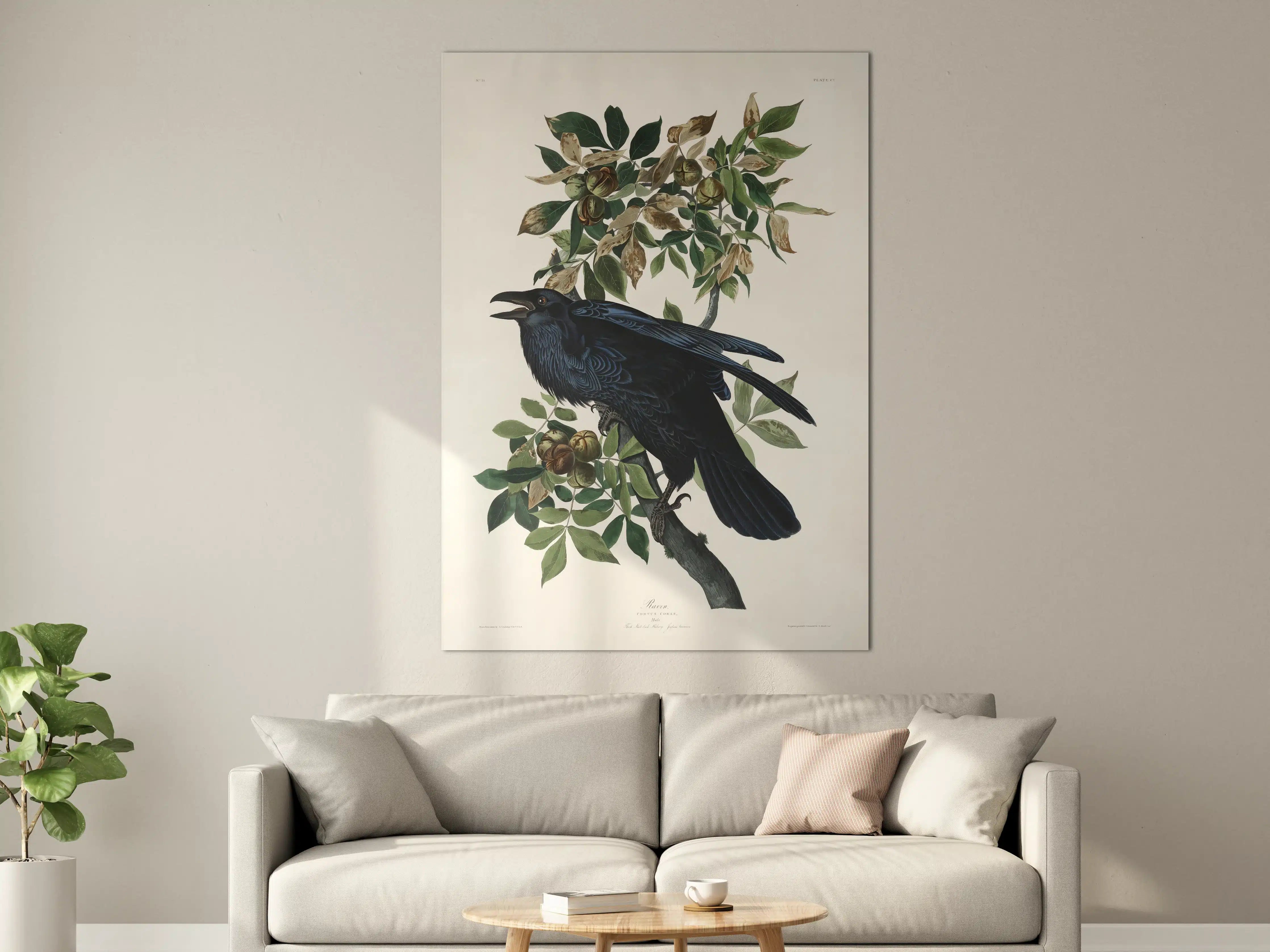 Große Wandbilder - Raben Portrait - John James Audubon