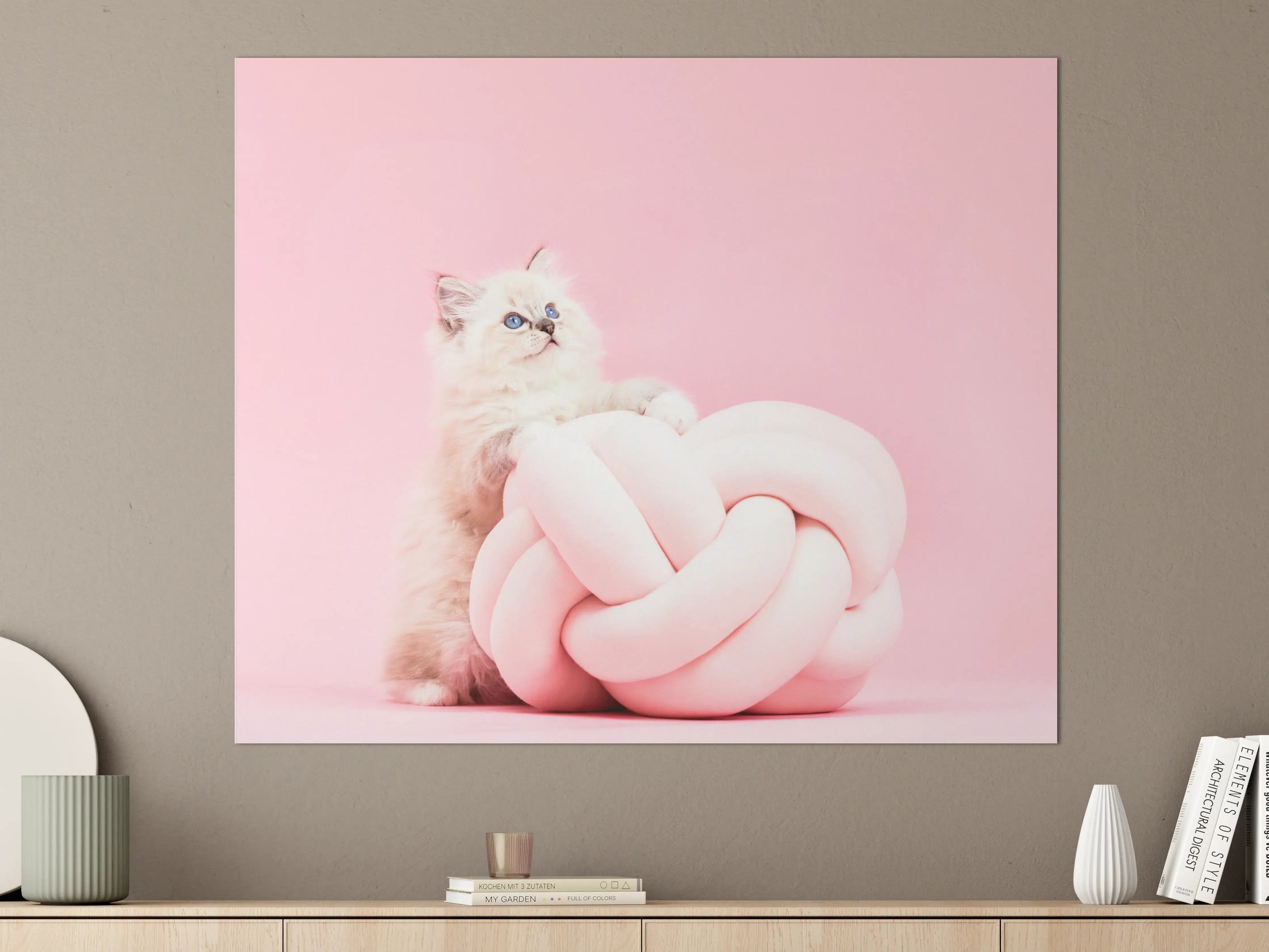 Große Wandbilder - Ragdoll Katze auf Pinken Hintergrund